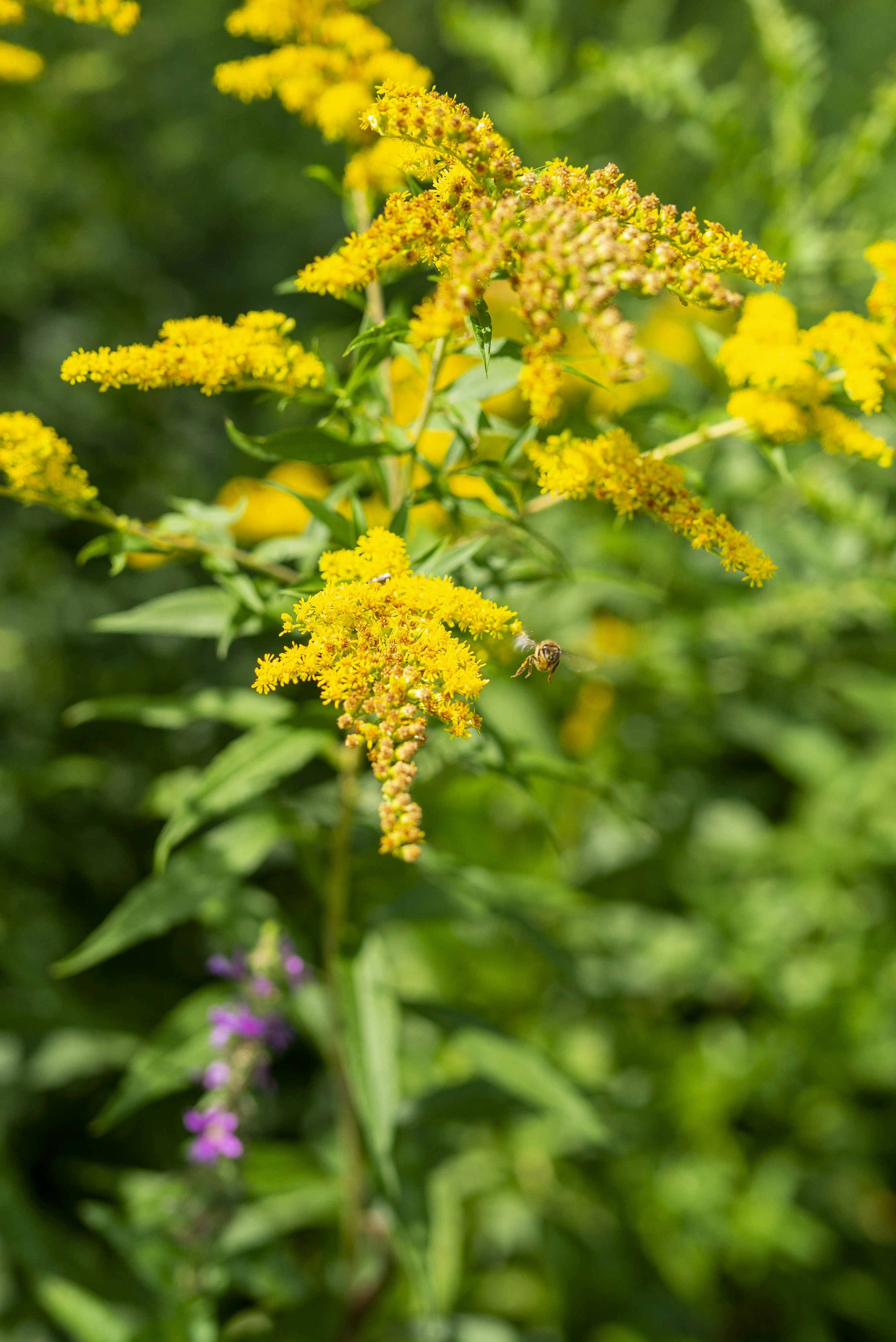 Photo by seunghoparklee