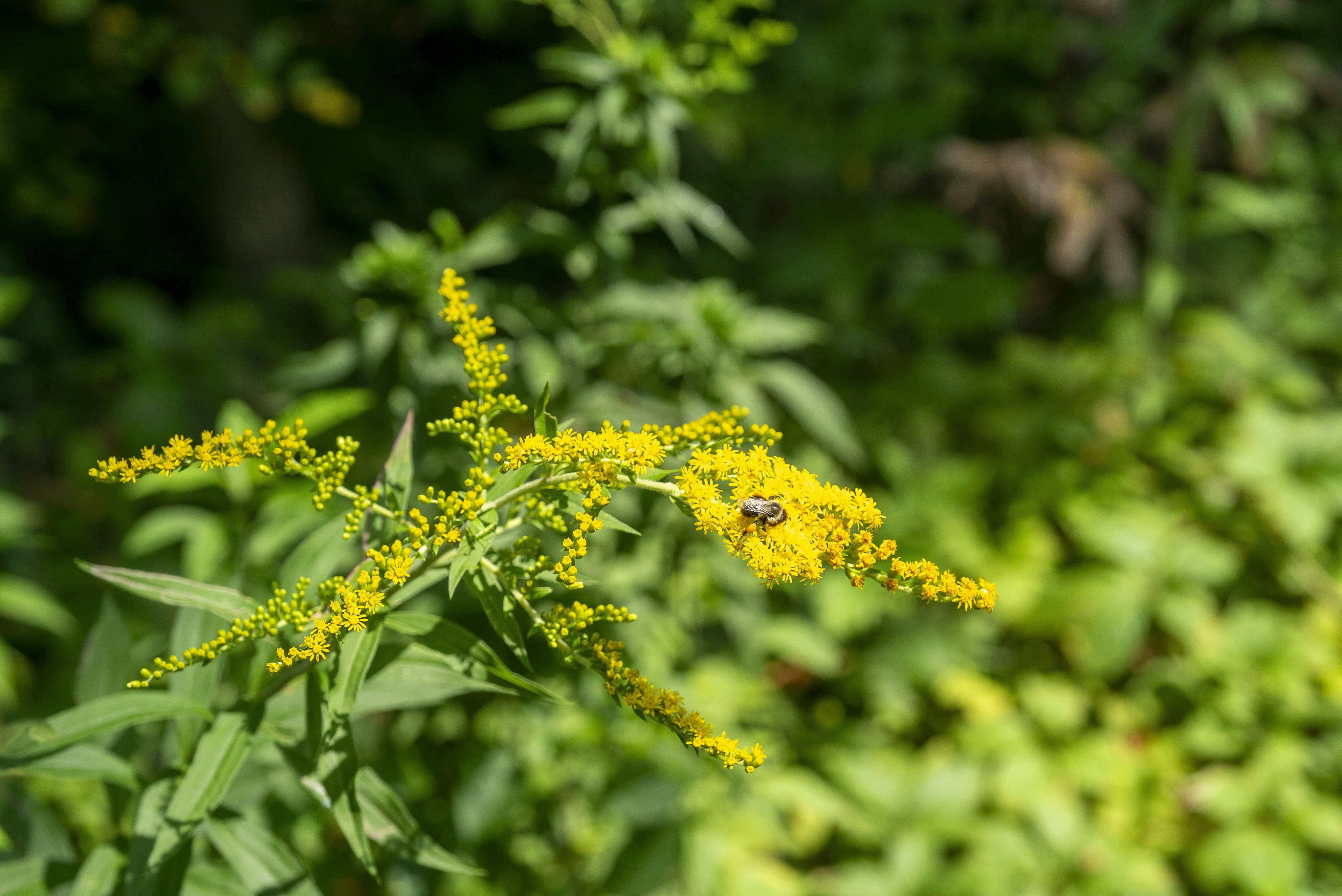 Photo by seunghoparklee