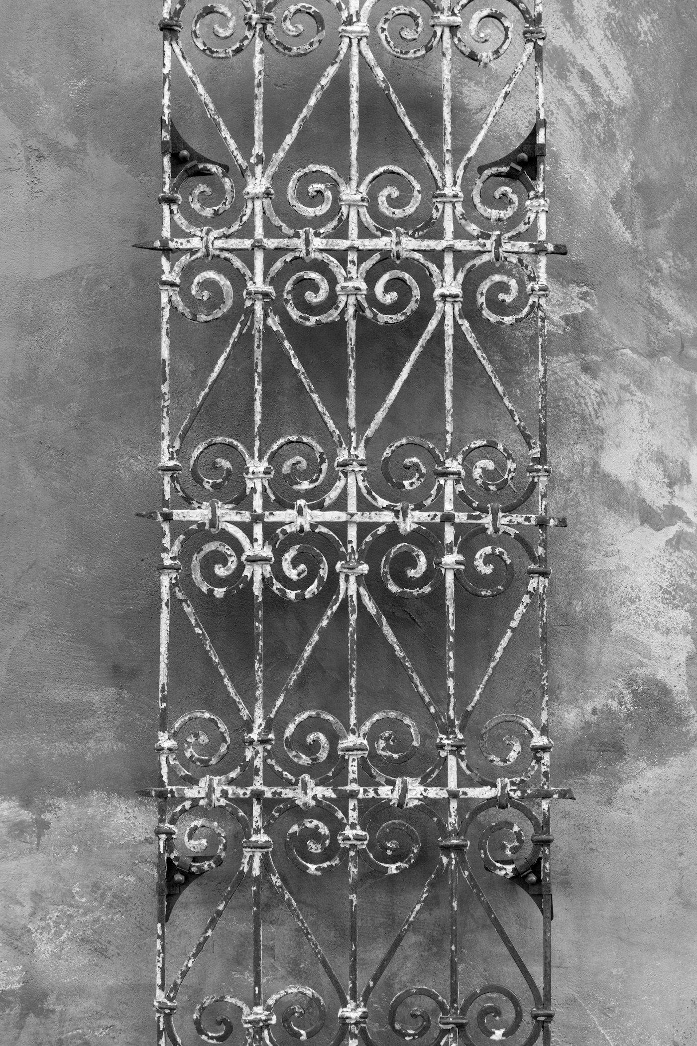 Ornate wrought iron gate with scrollwork detailing