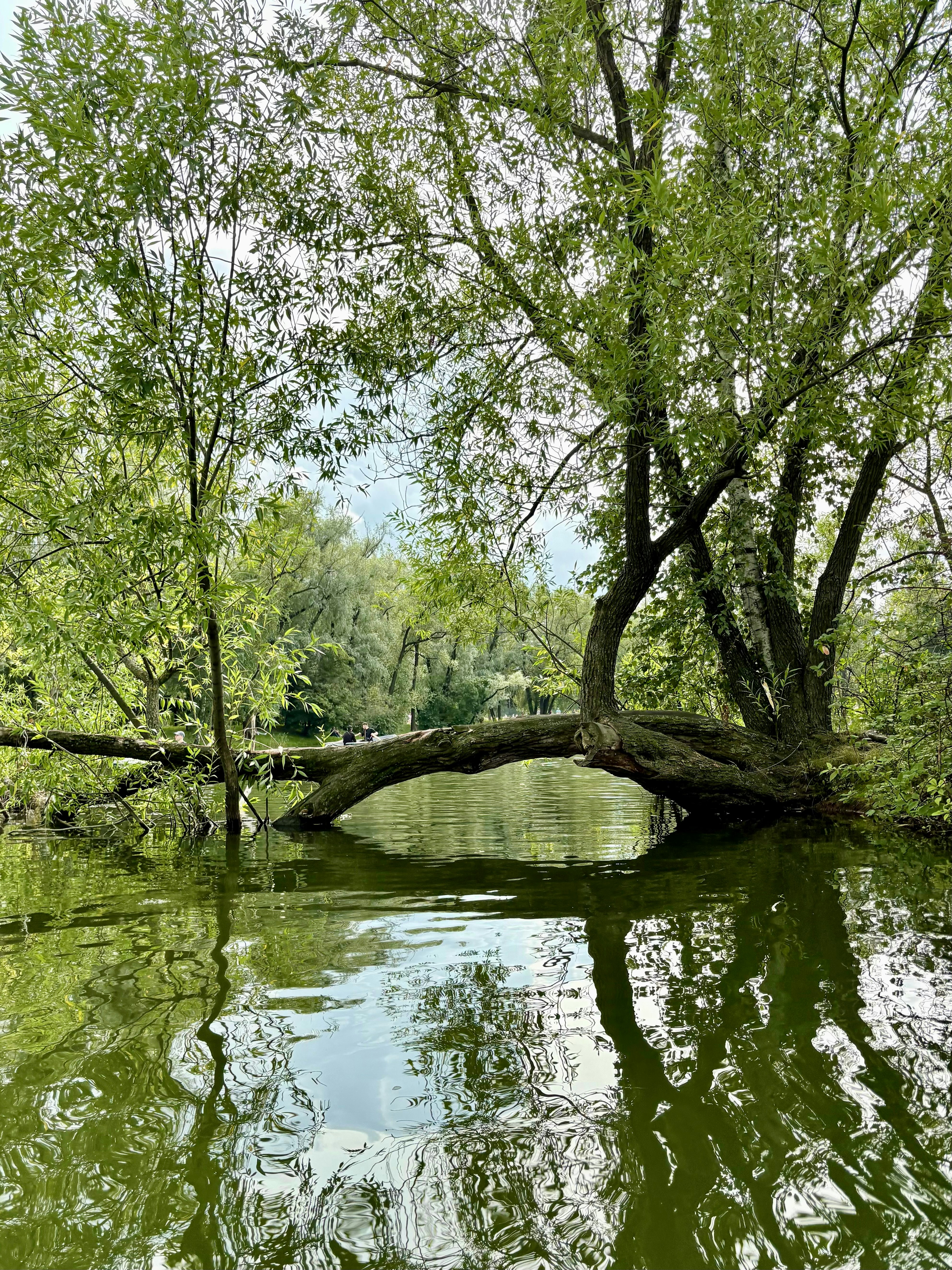 Photo by tashakostyuk