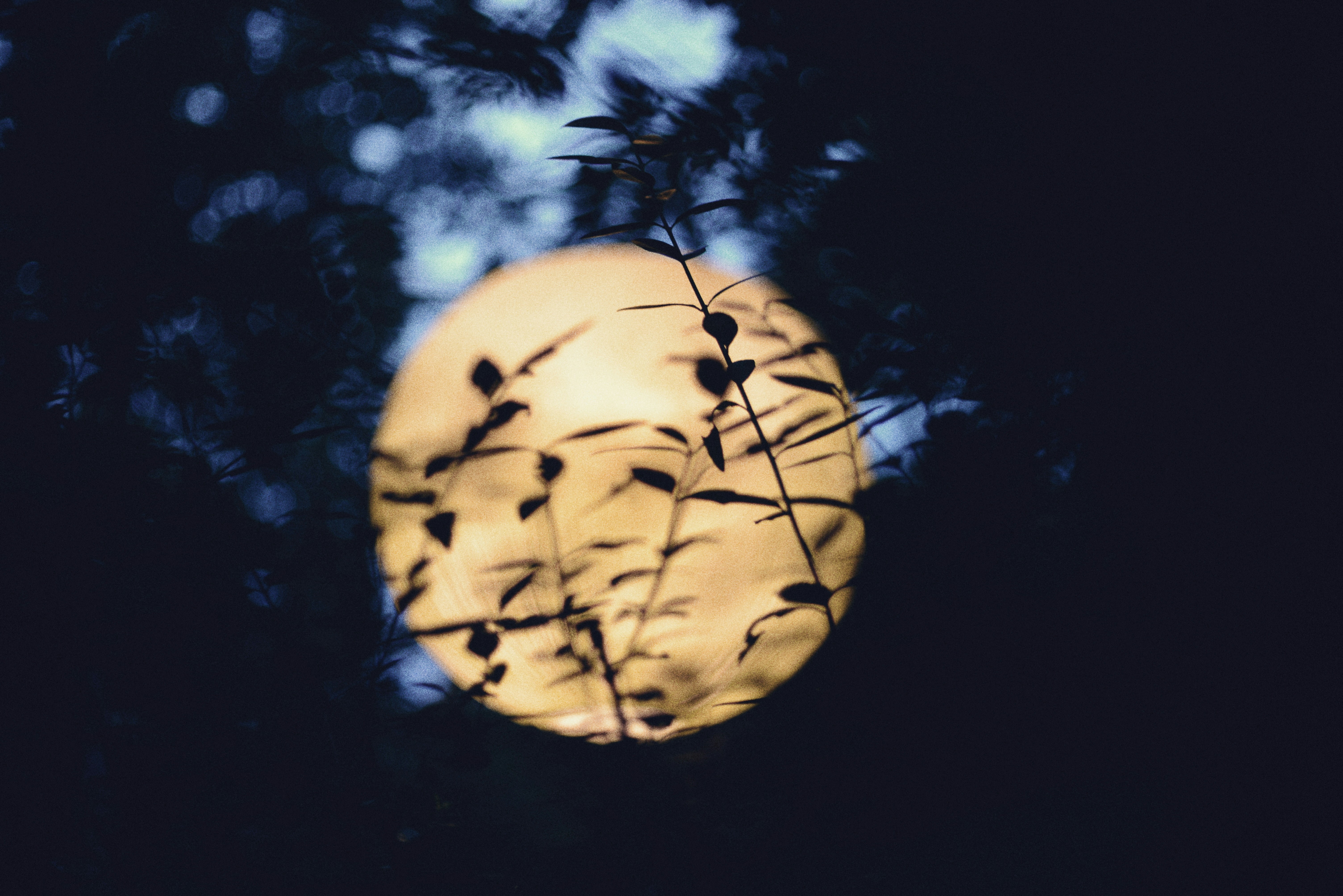 Photo by cherstve_pechivo