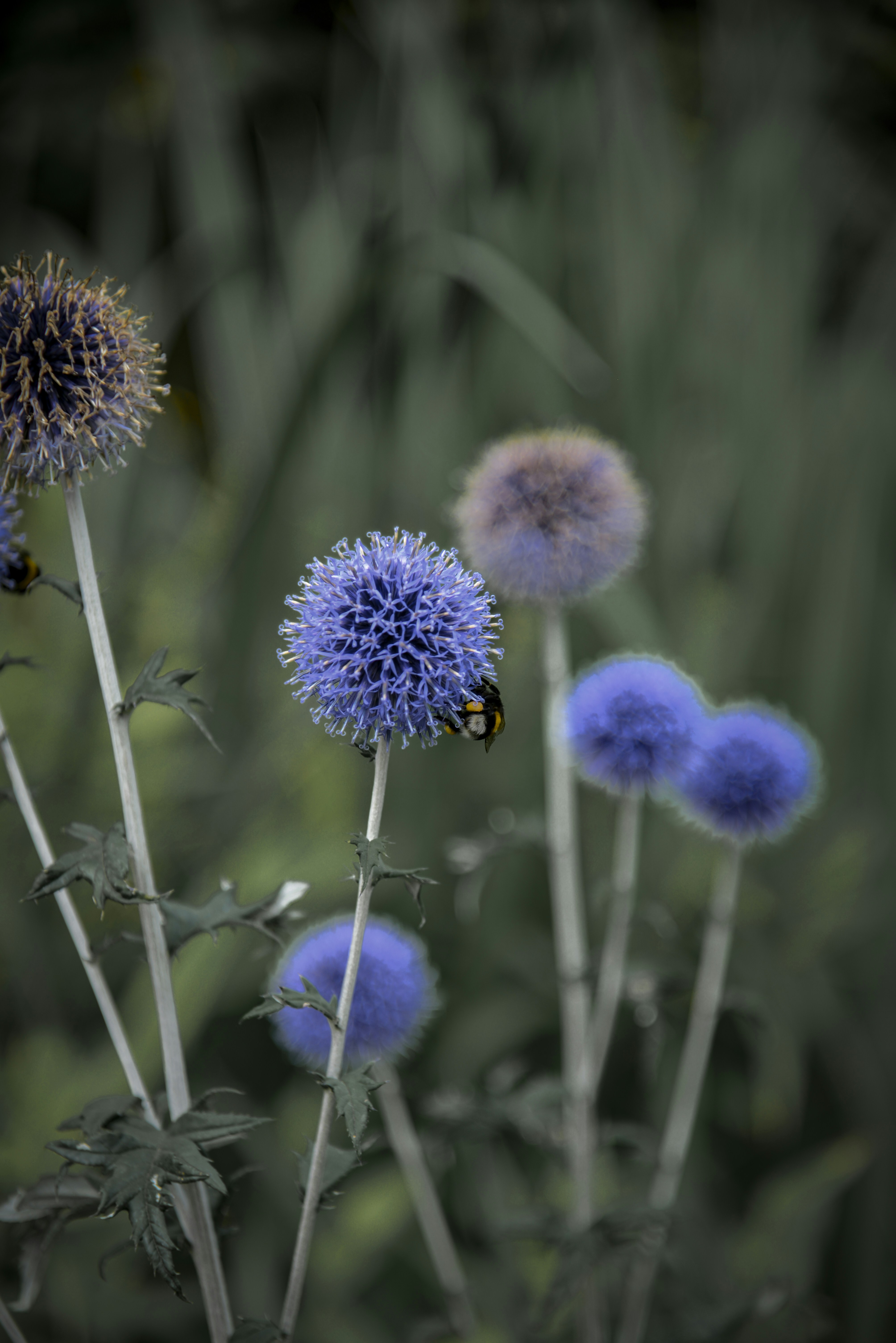 Photo by malwinanogaj