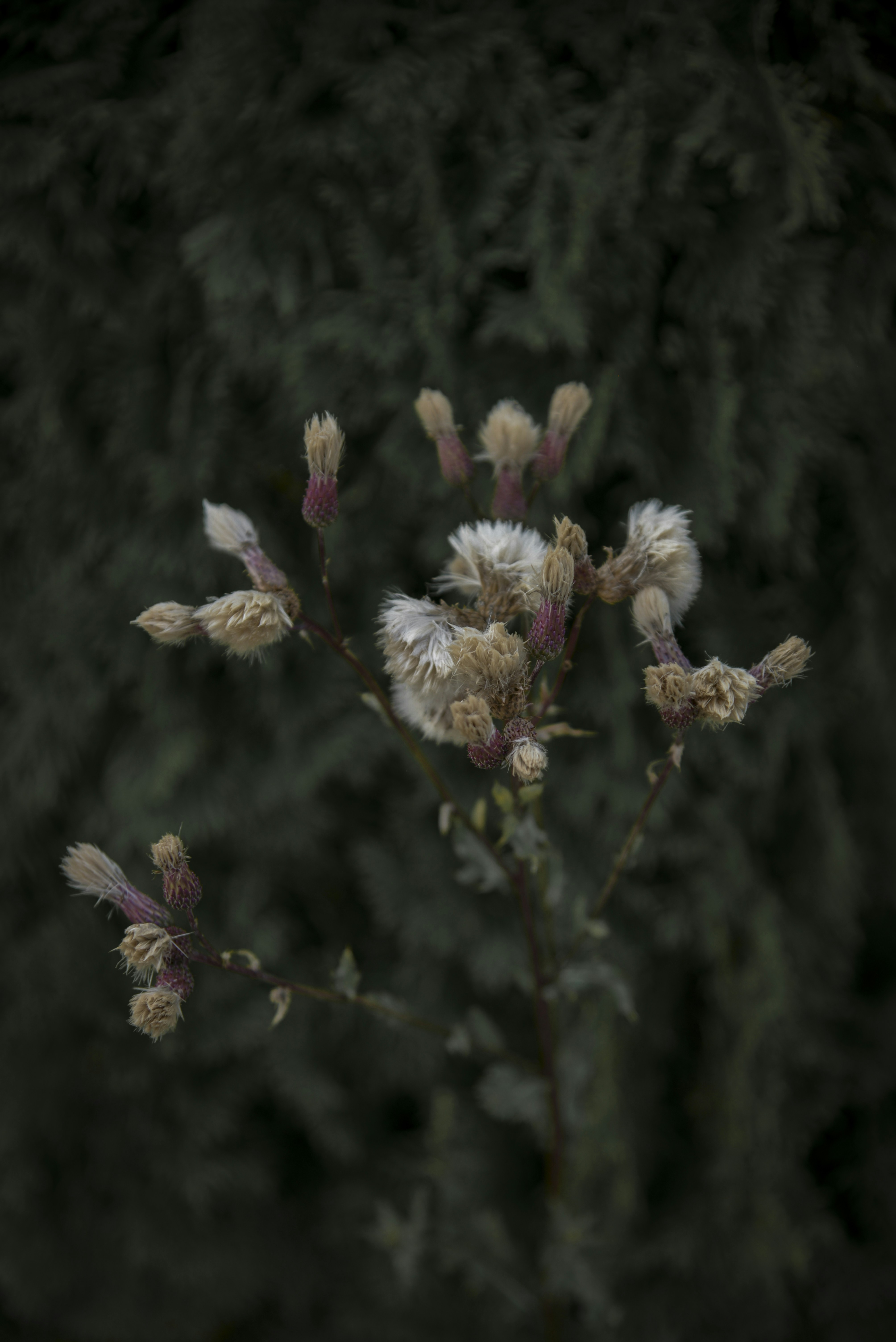 Photo by malwinanogaj