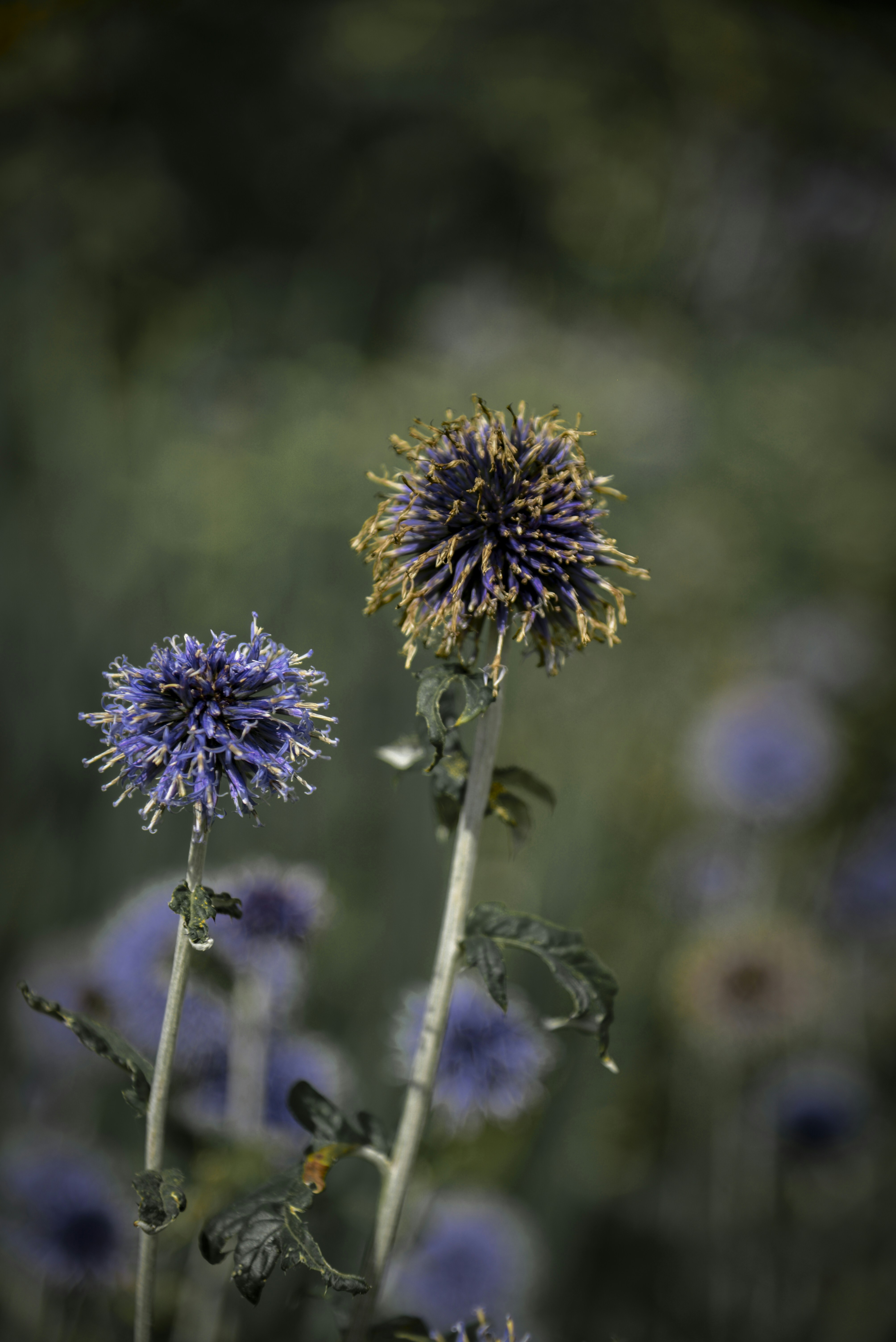 Photo by malwinanogaj