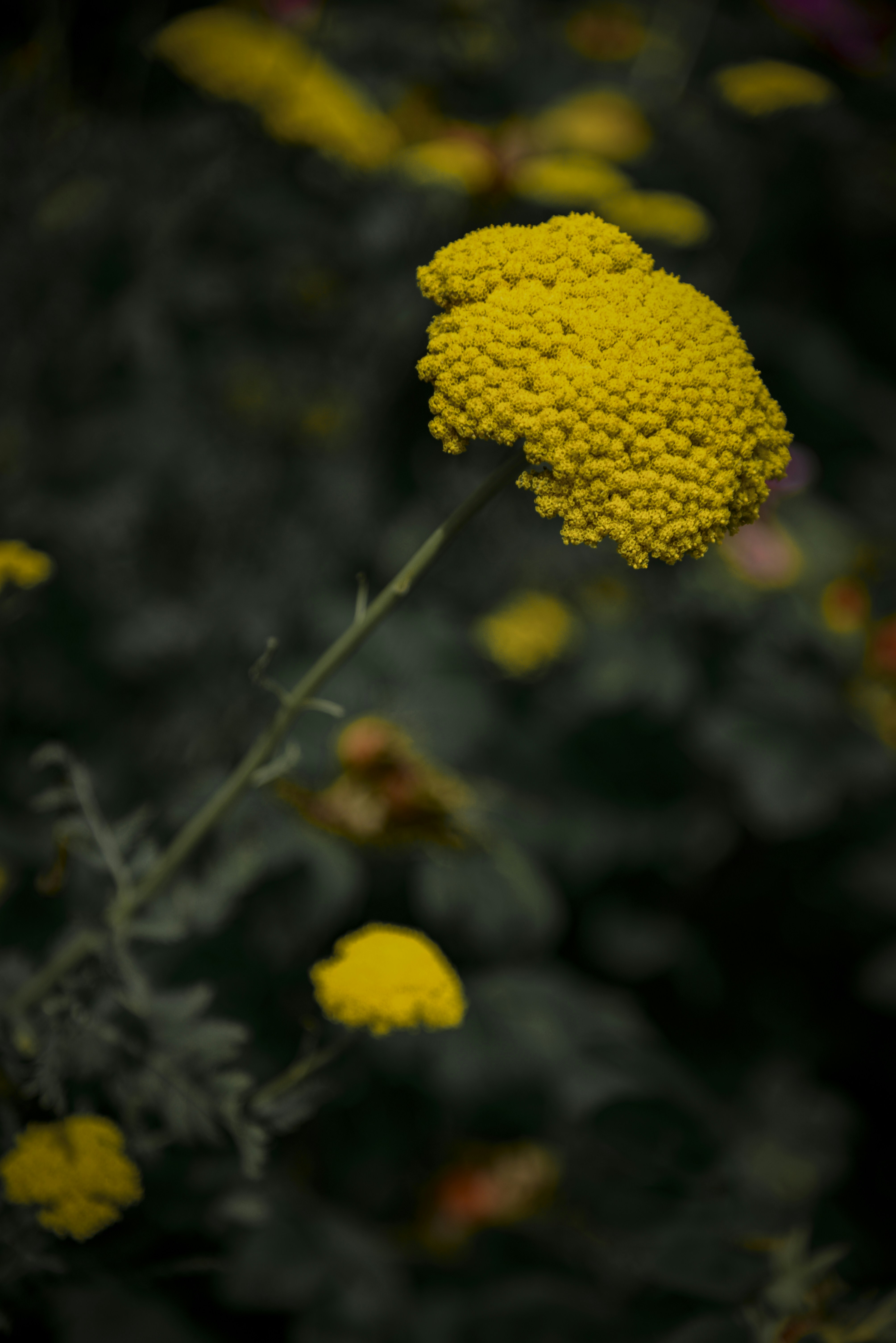 Photo by malwinanogaj