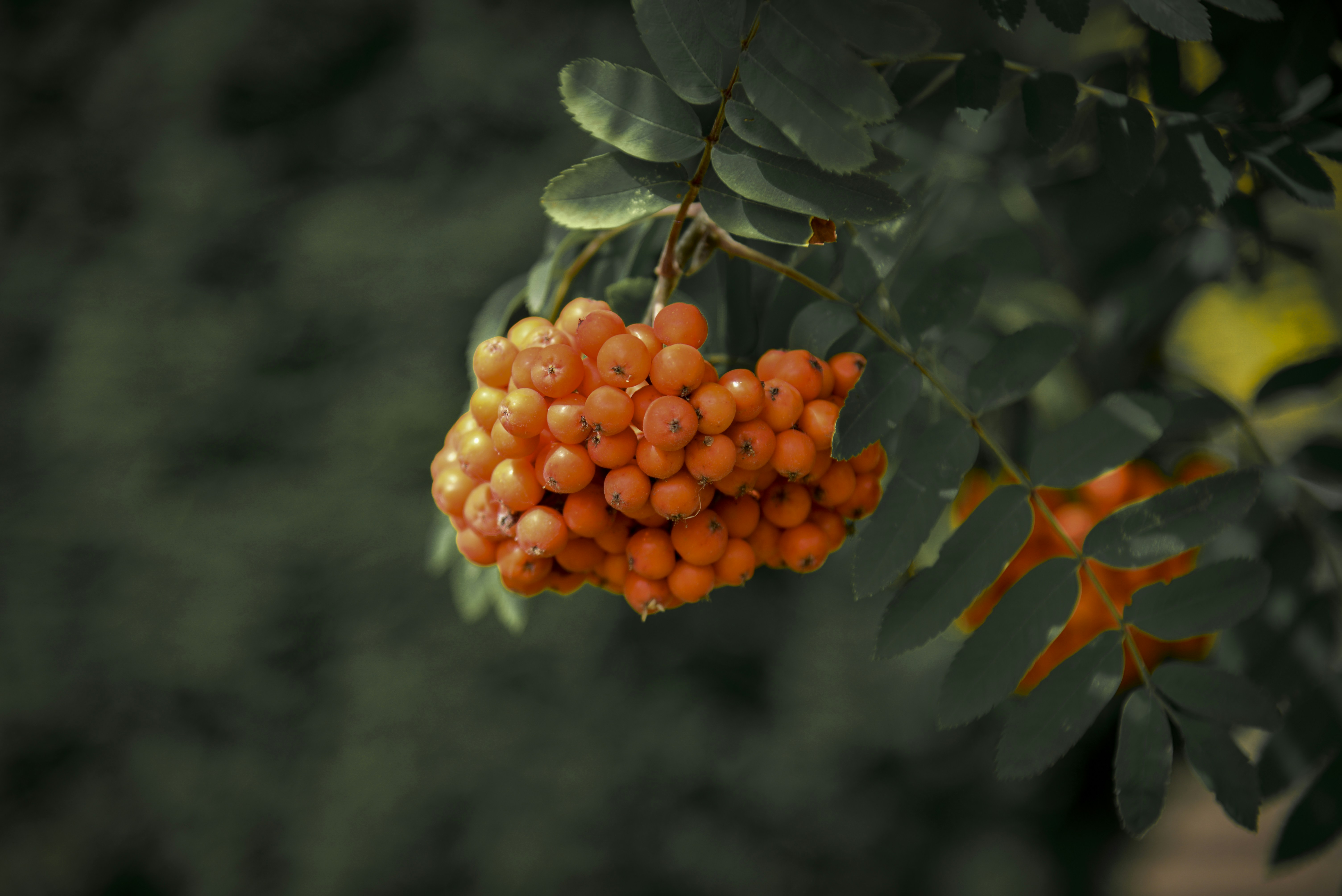 Photo by malwinanogaj