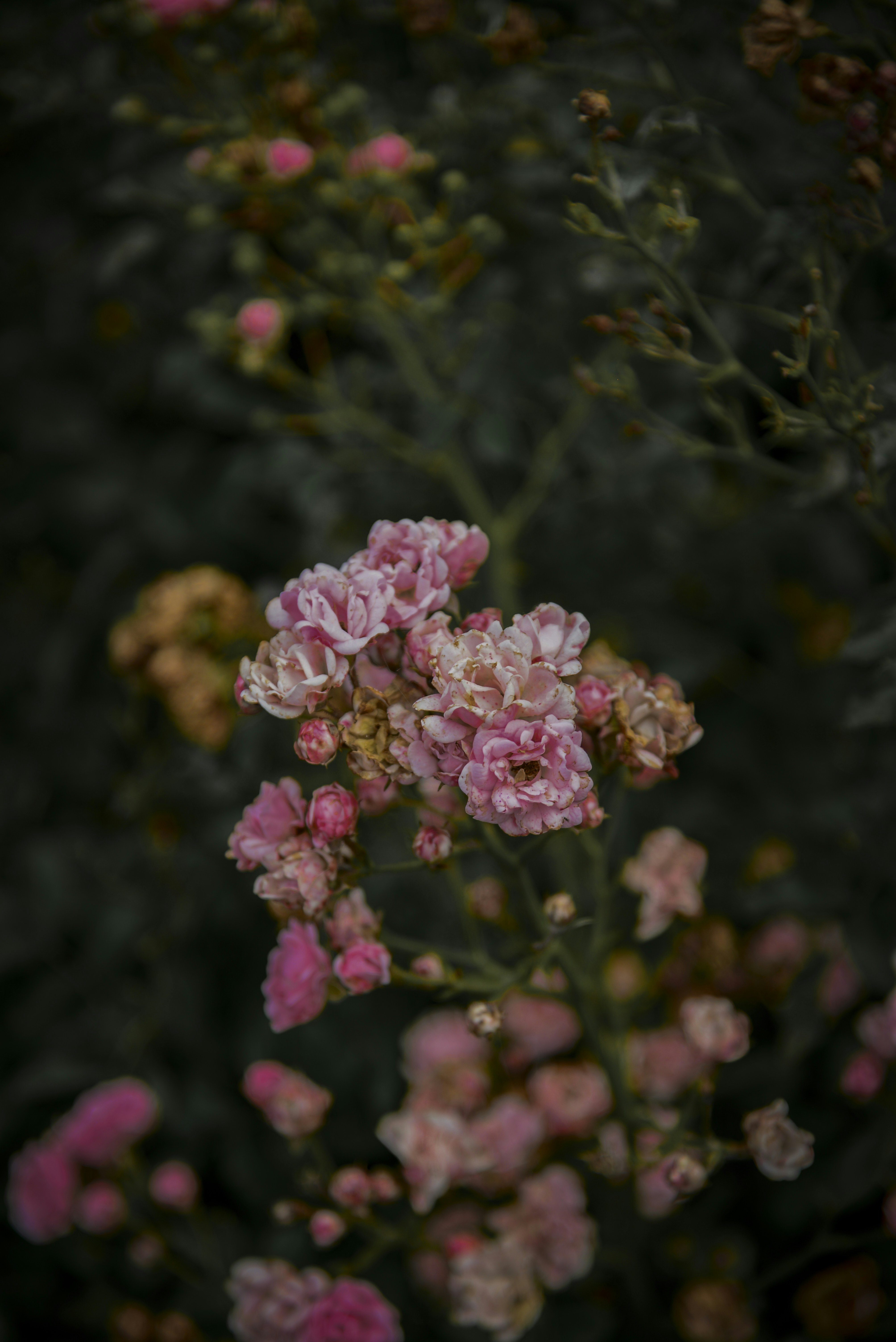 Photo by malwinanogaj