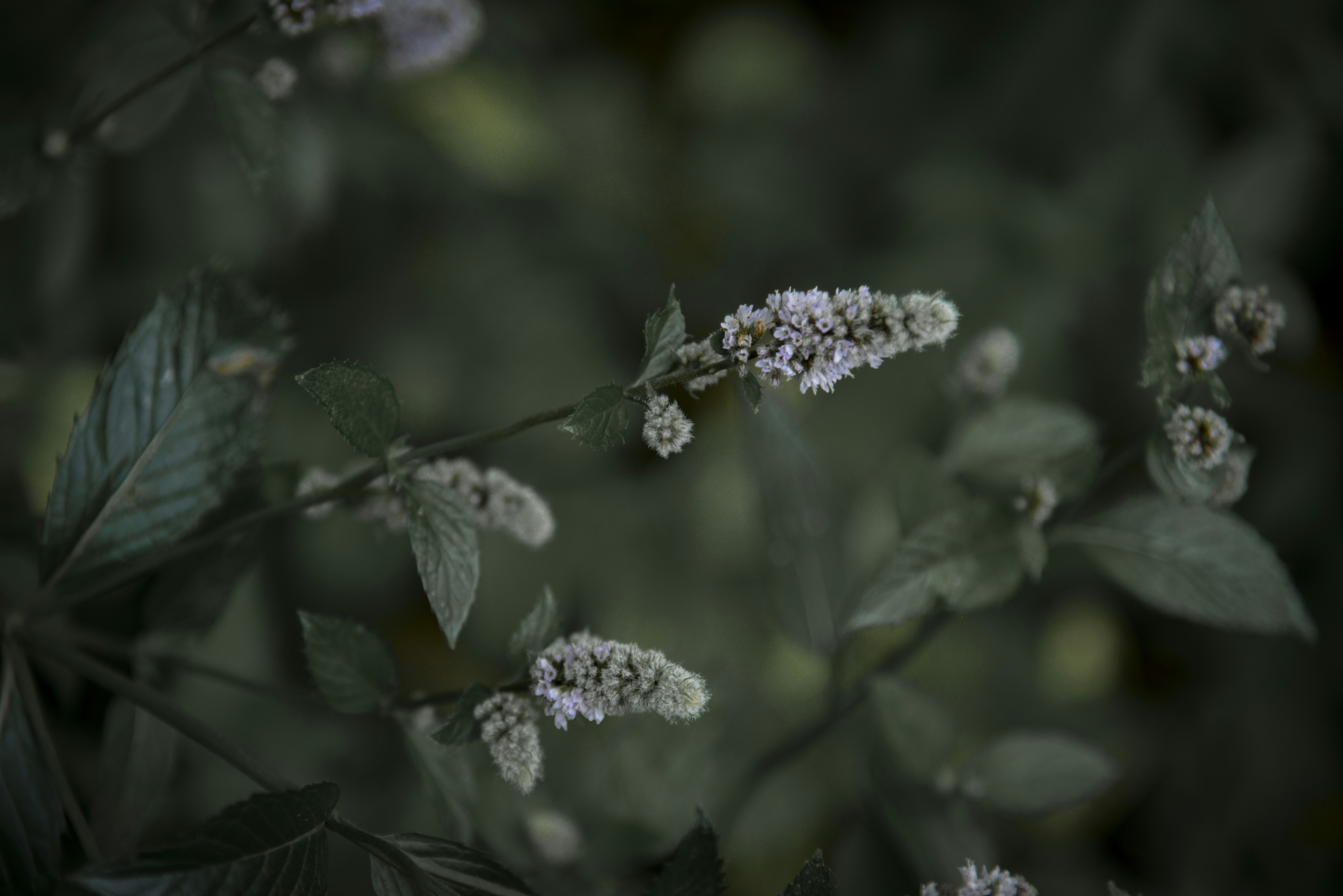 Photo by malwinanogaj