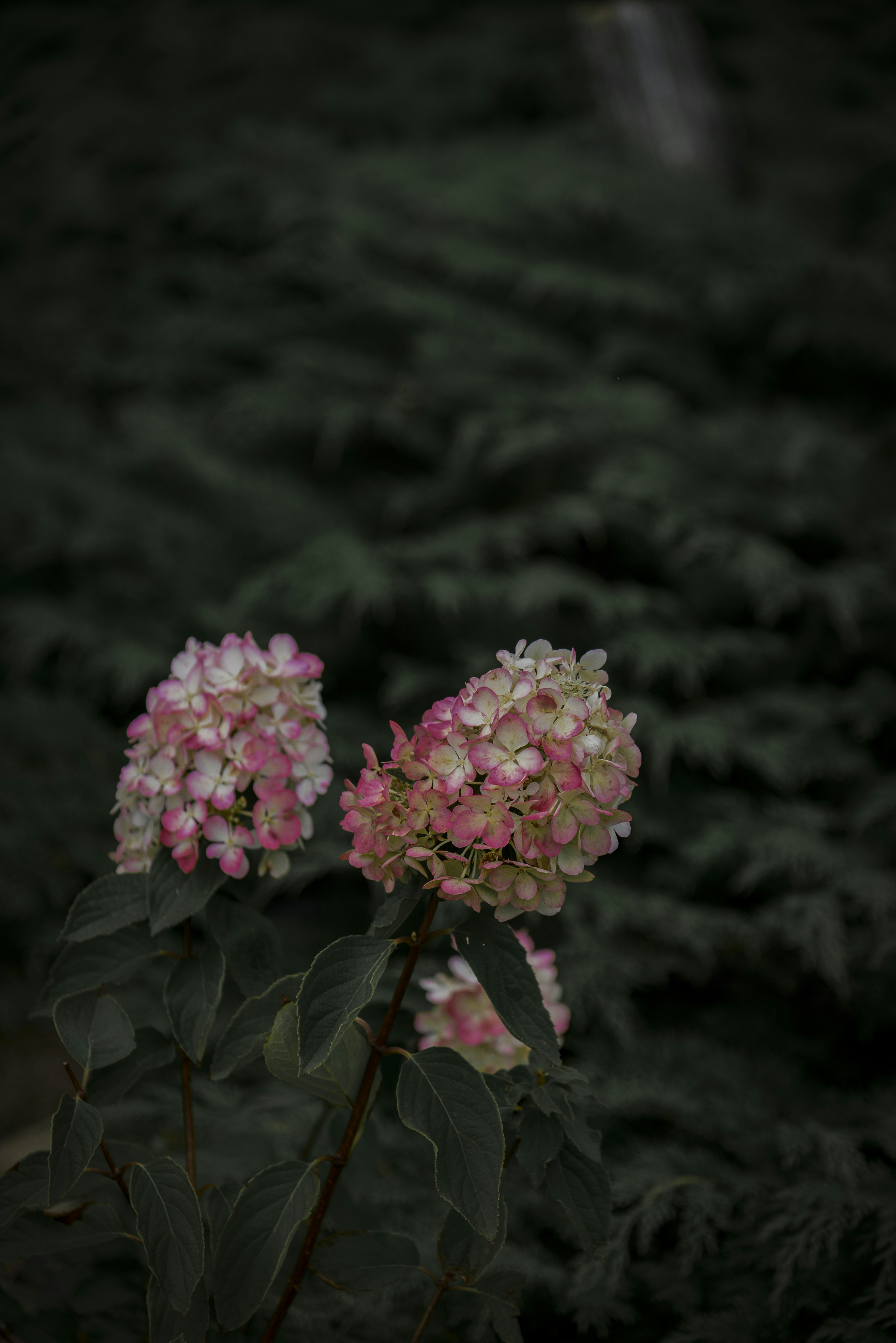 Photo by malwinanogaj