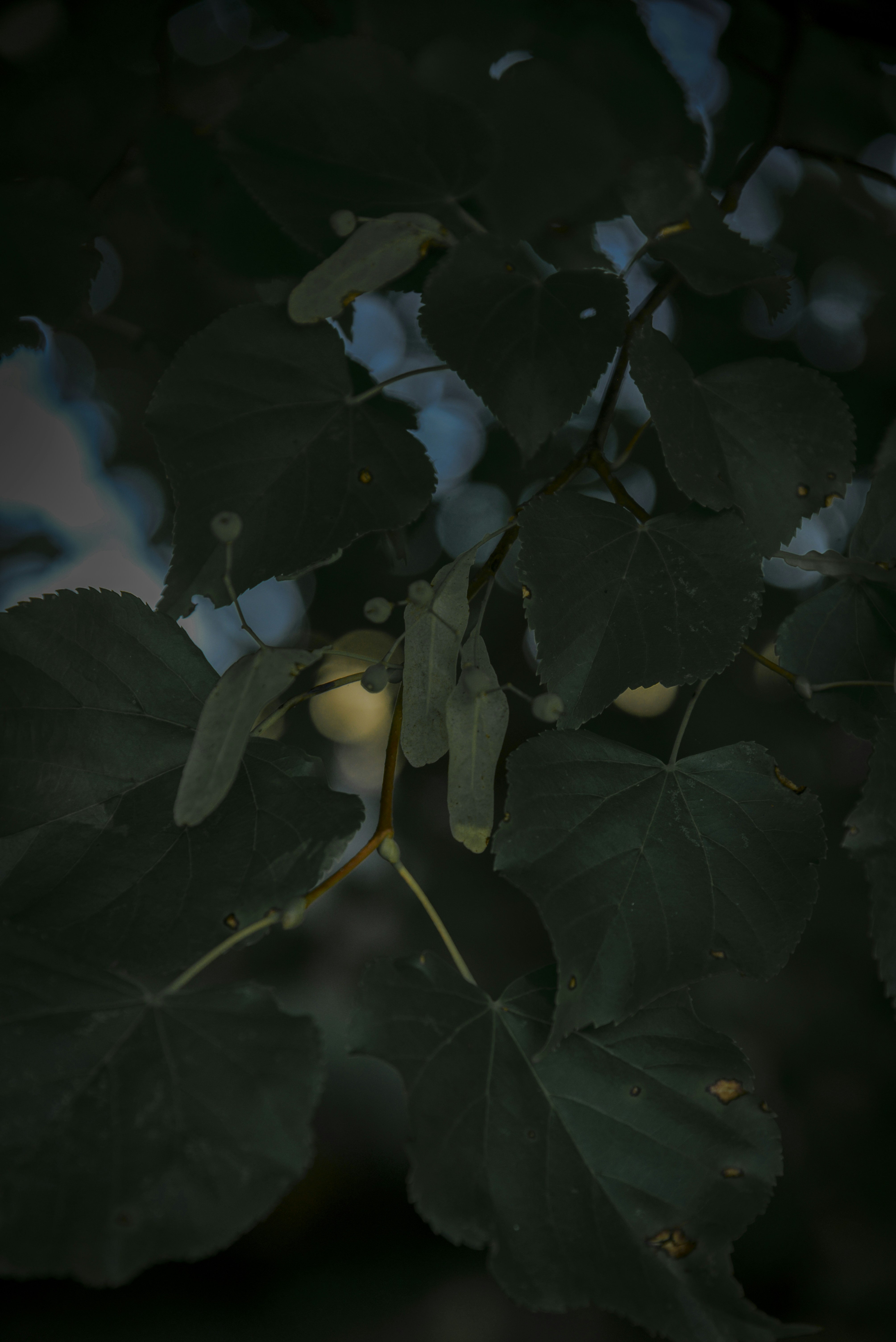 Photo by malwinanogaj