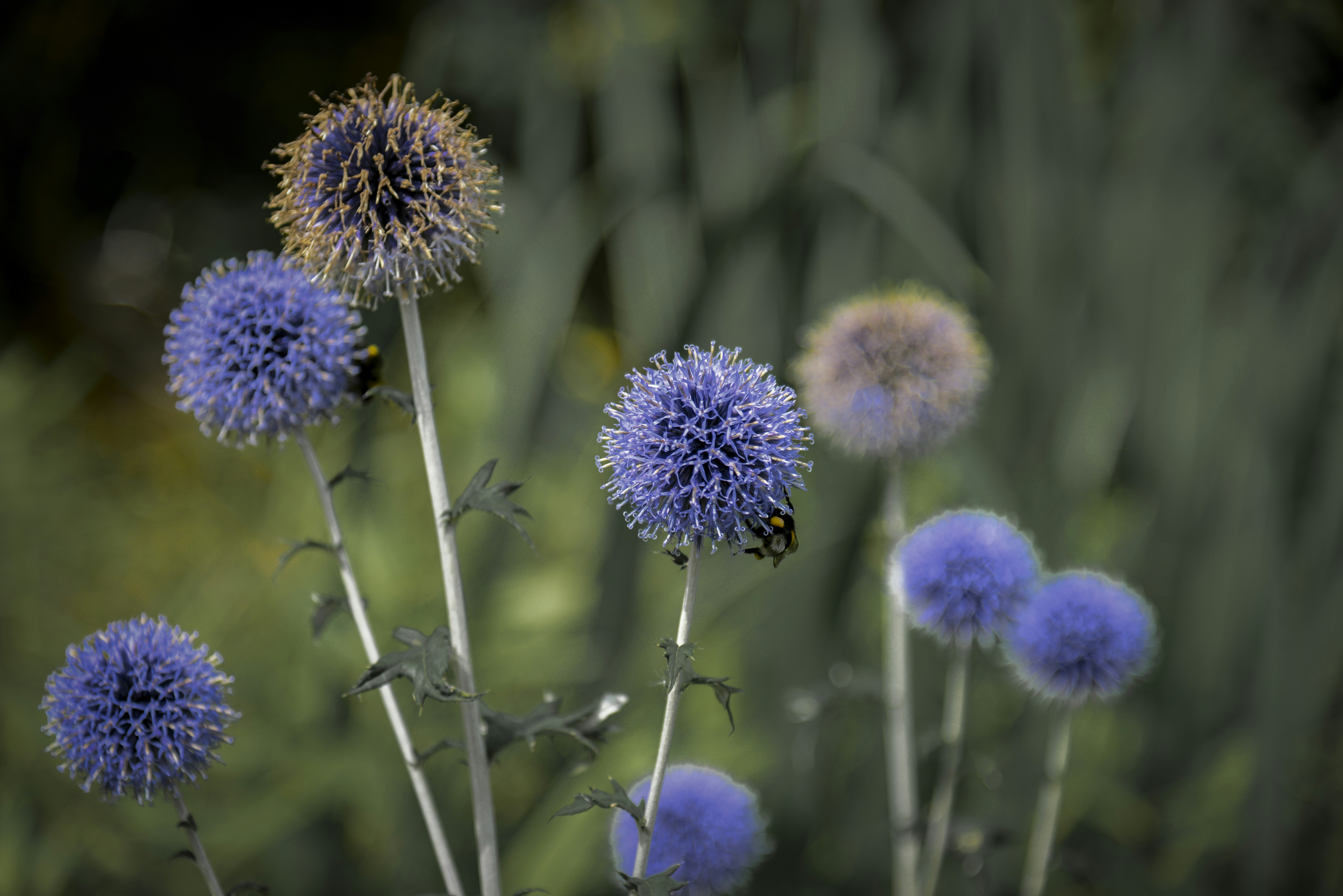 Photo by malwinanogaj