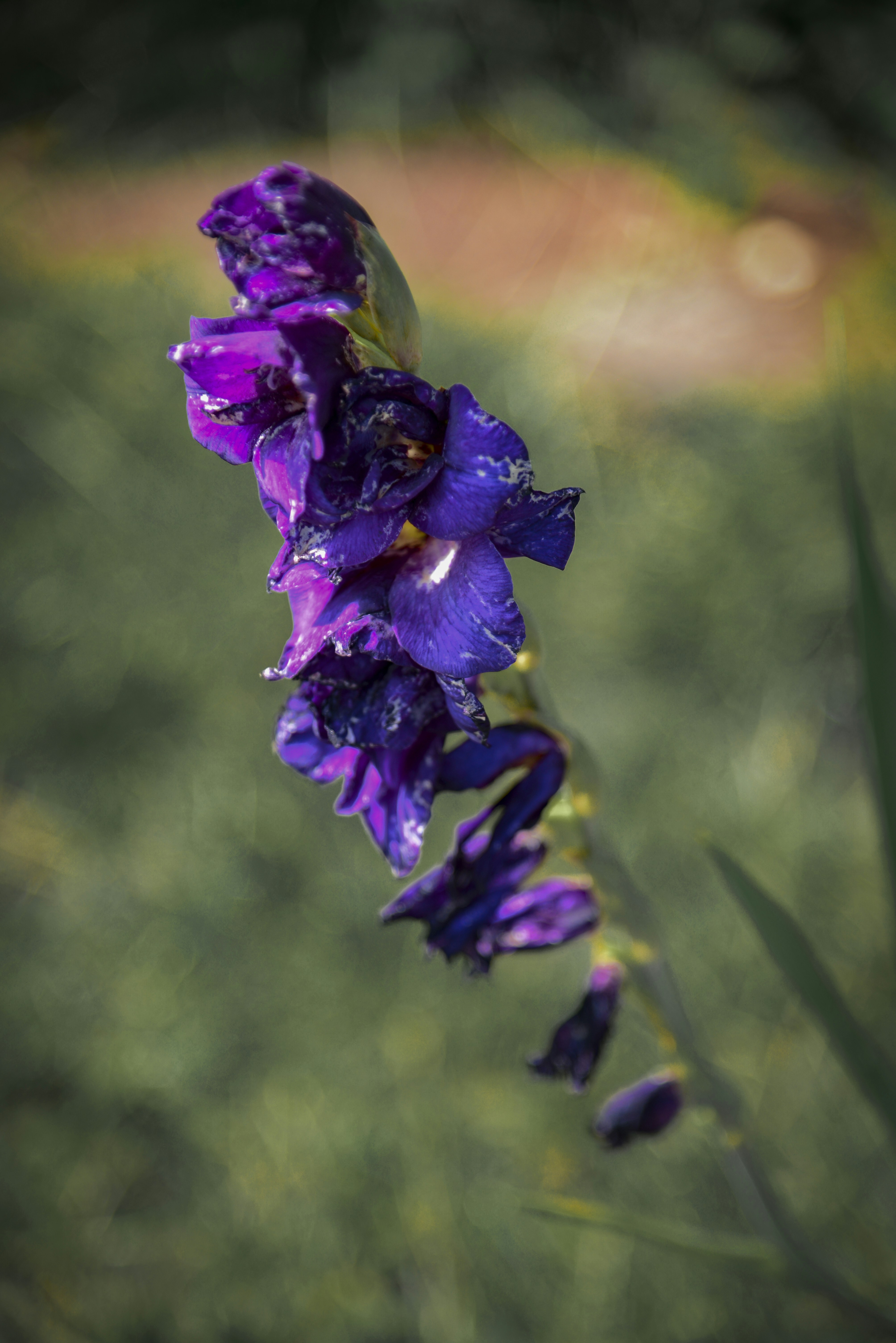 Photo by malwinanogaj