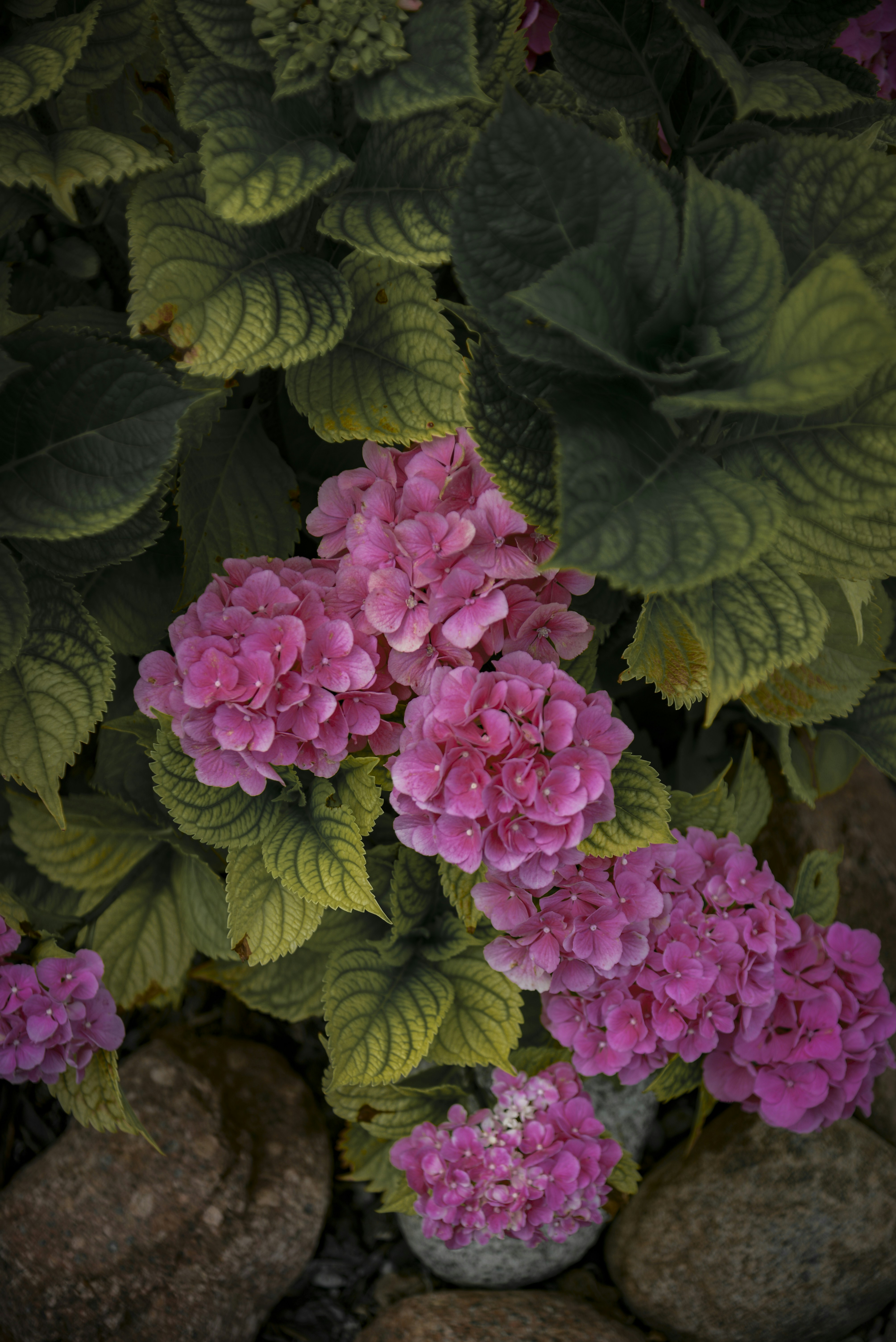 Photo by malwinanogaj