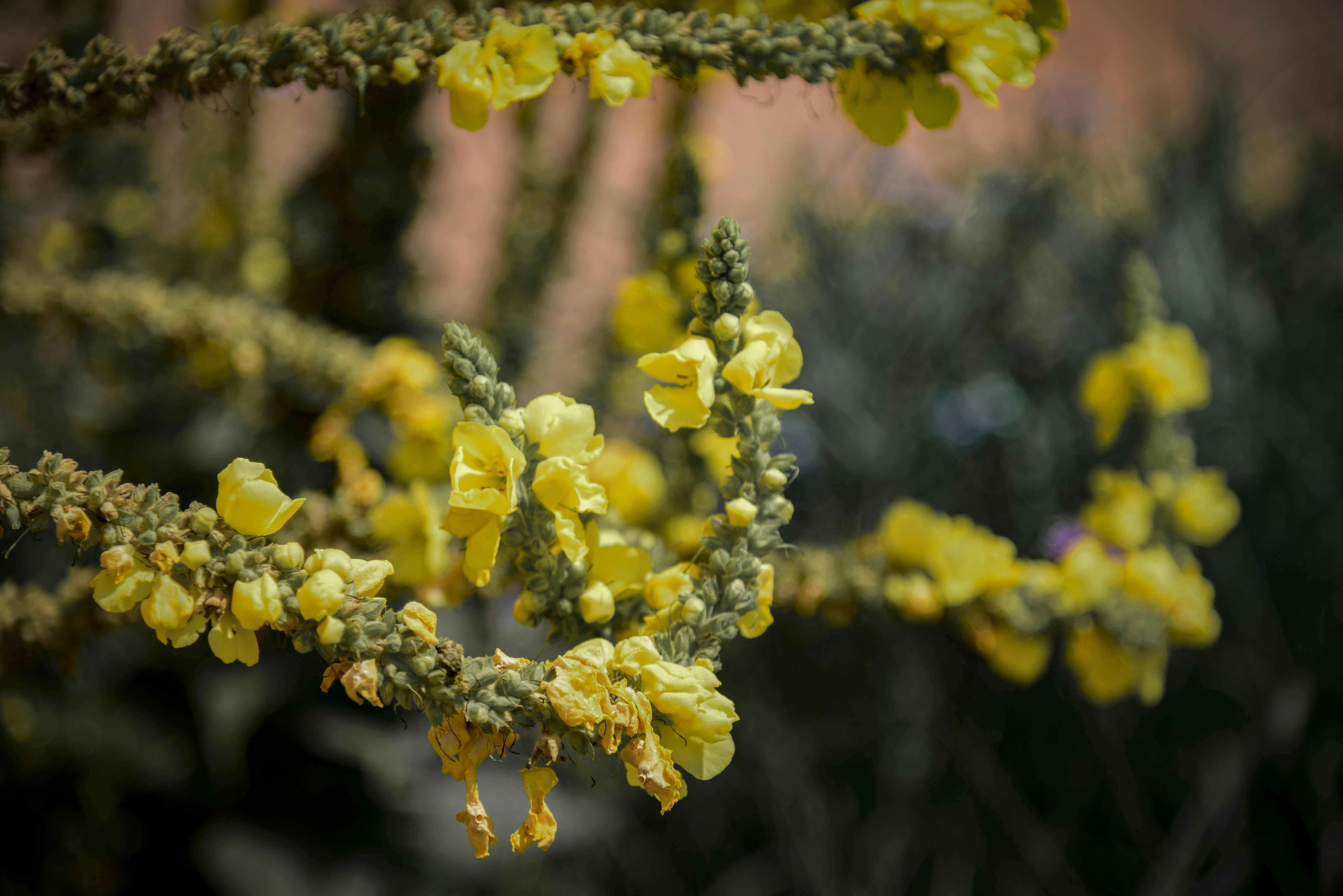 Photo by malwinanogaj