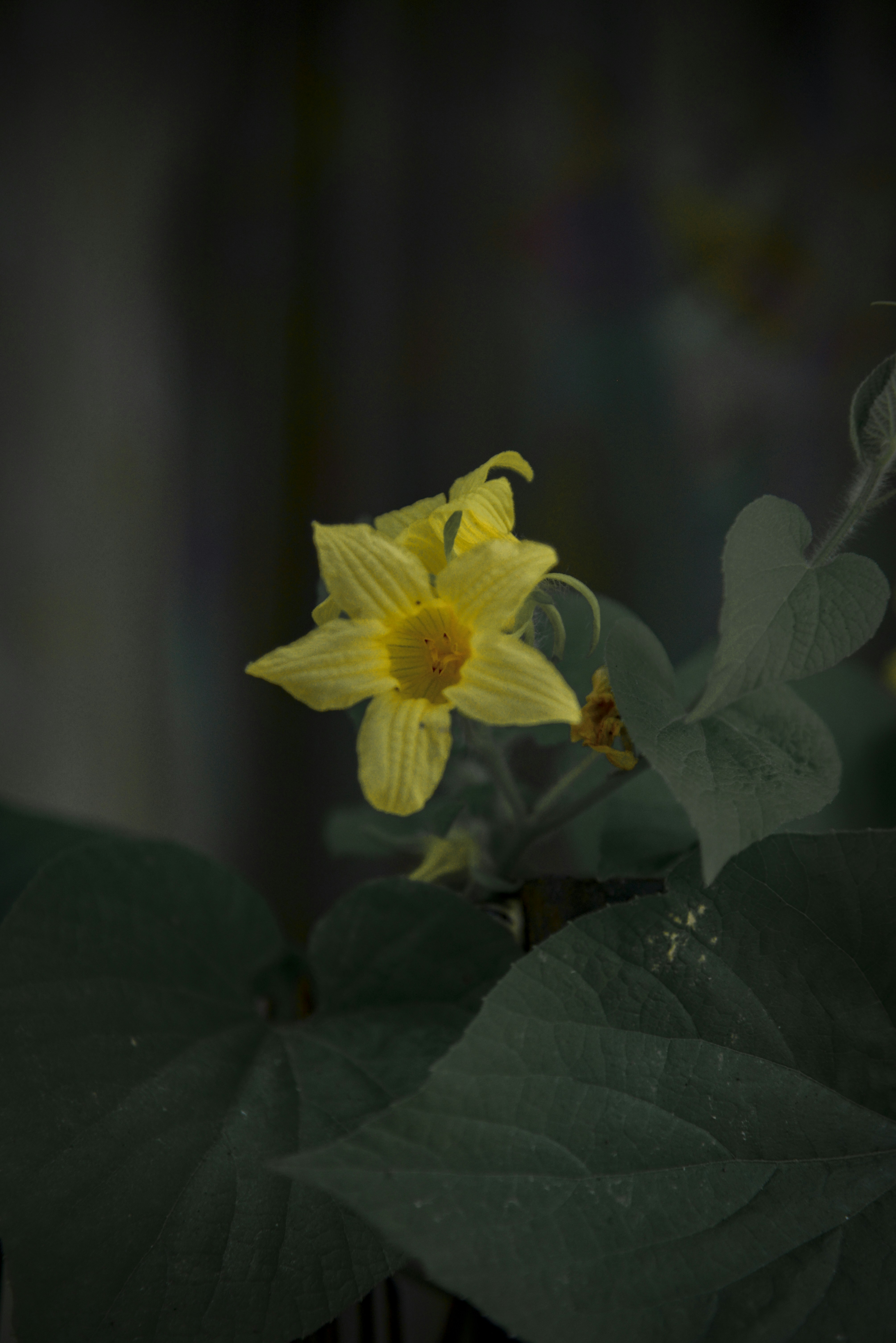 Photo by malwinanogaj