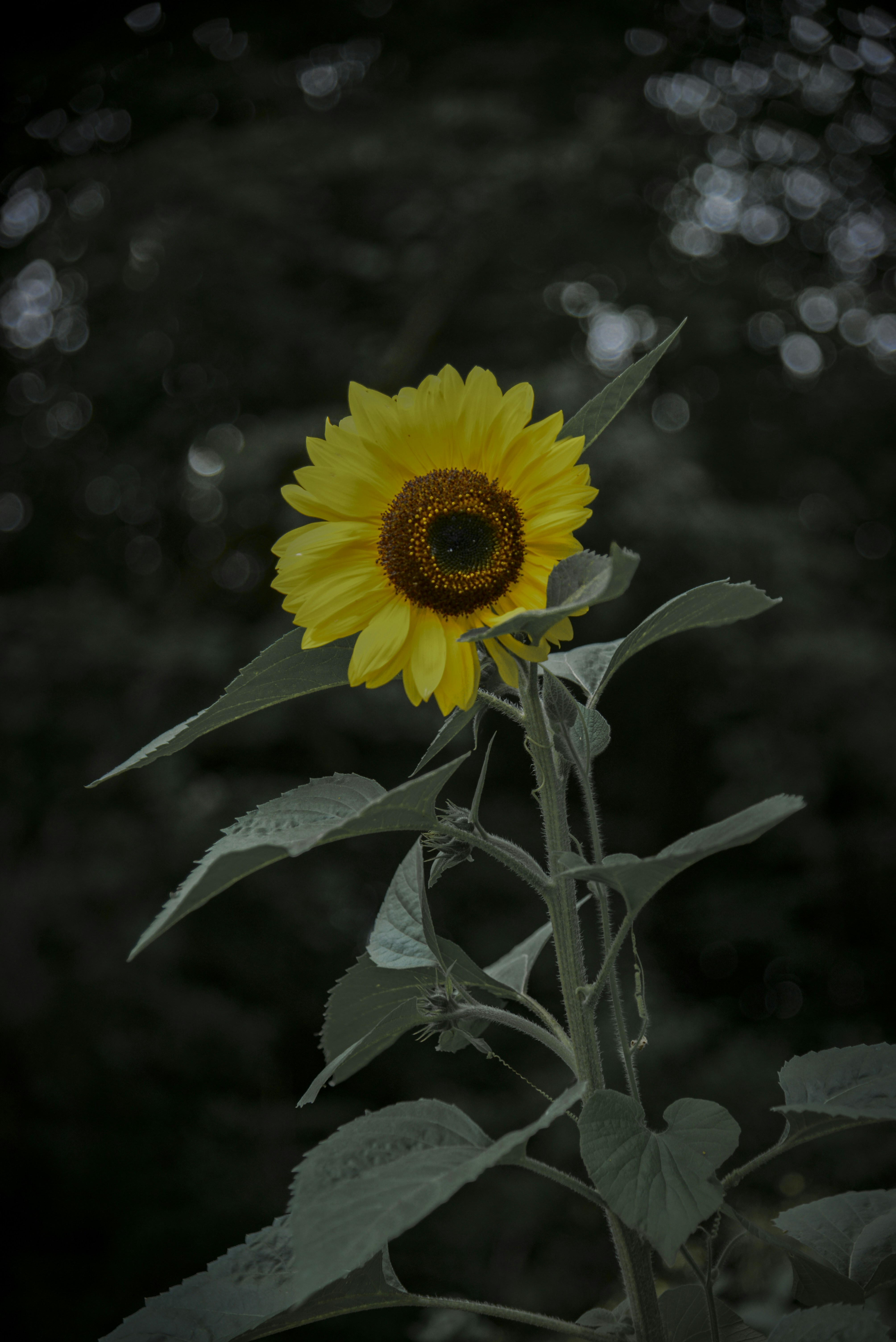 Photo by malwinanogaj