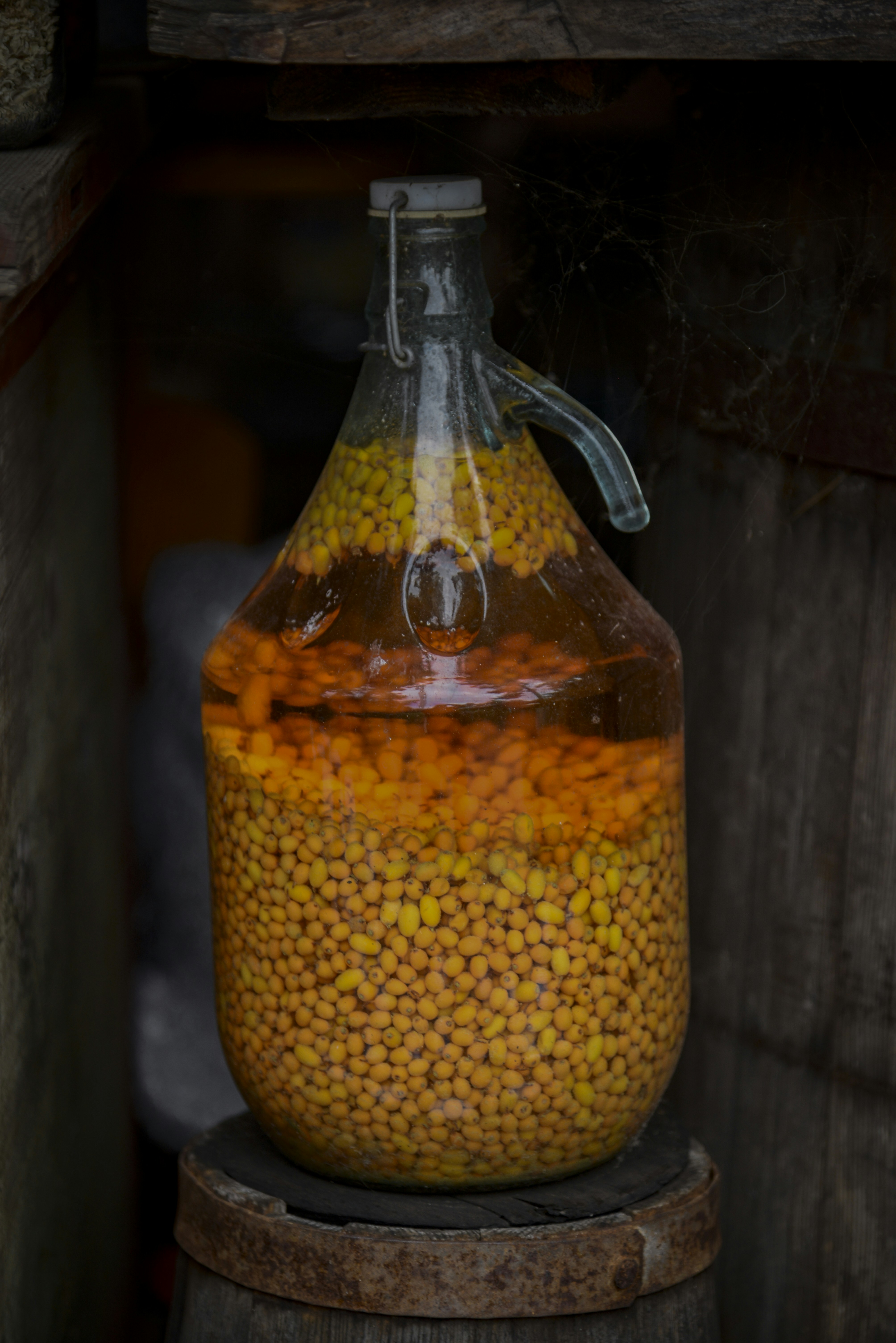 Glass jug filled with yellow seeds and liquid