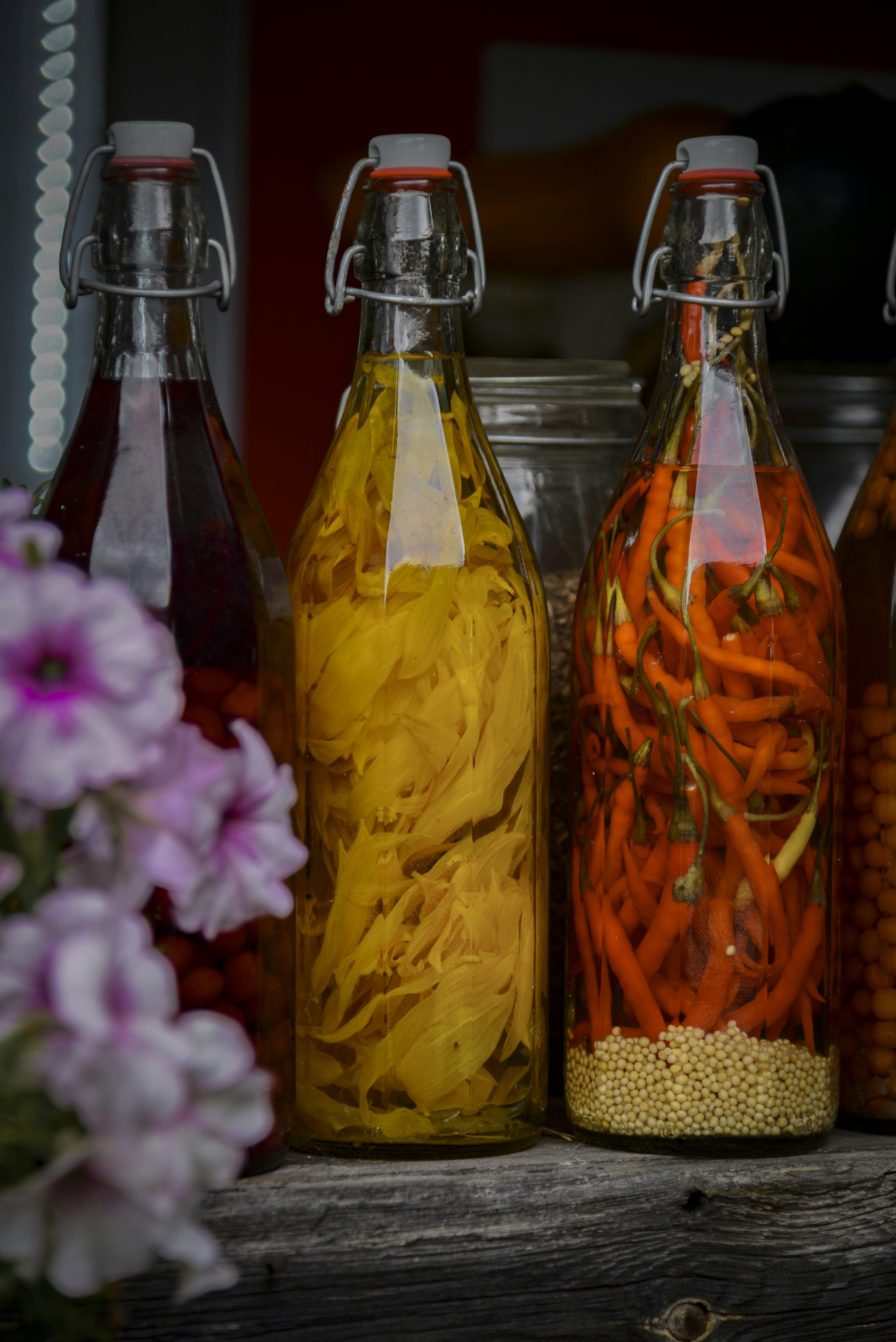 Photo by malwinanogaj