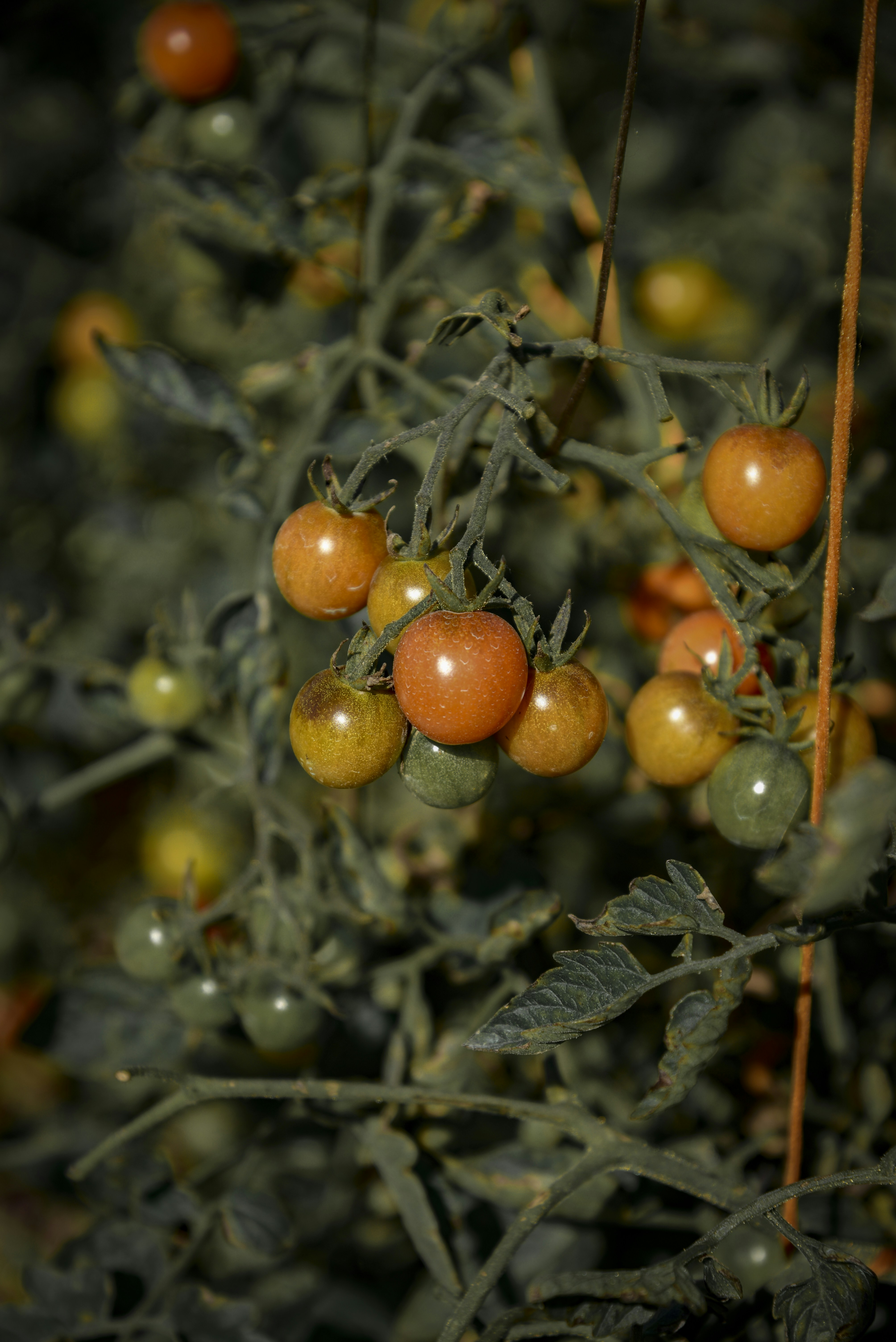 Photo by malwinanogaj