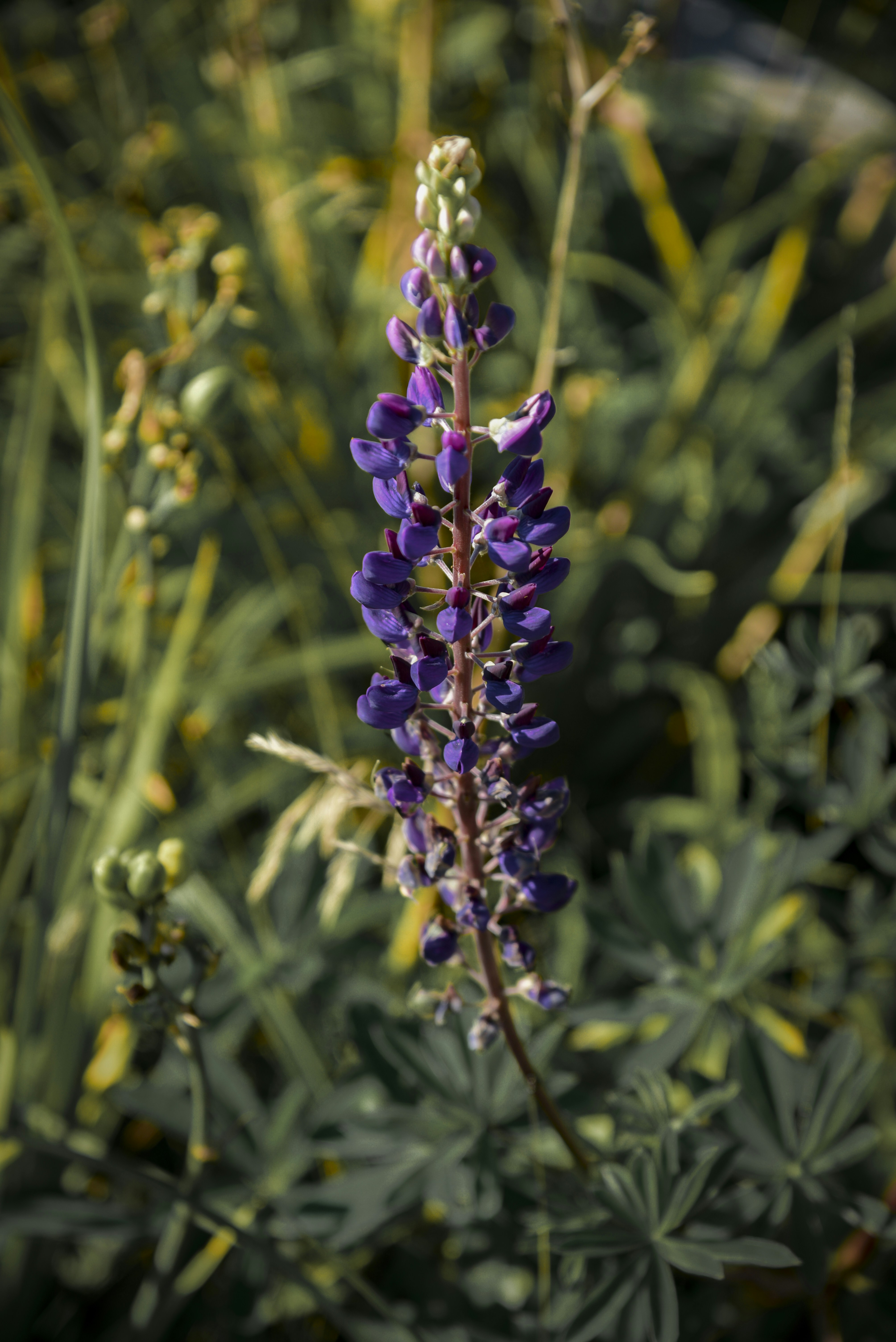 Photo by malwinanogaj