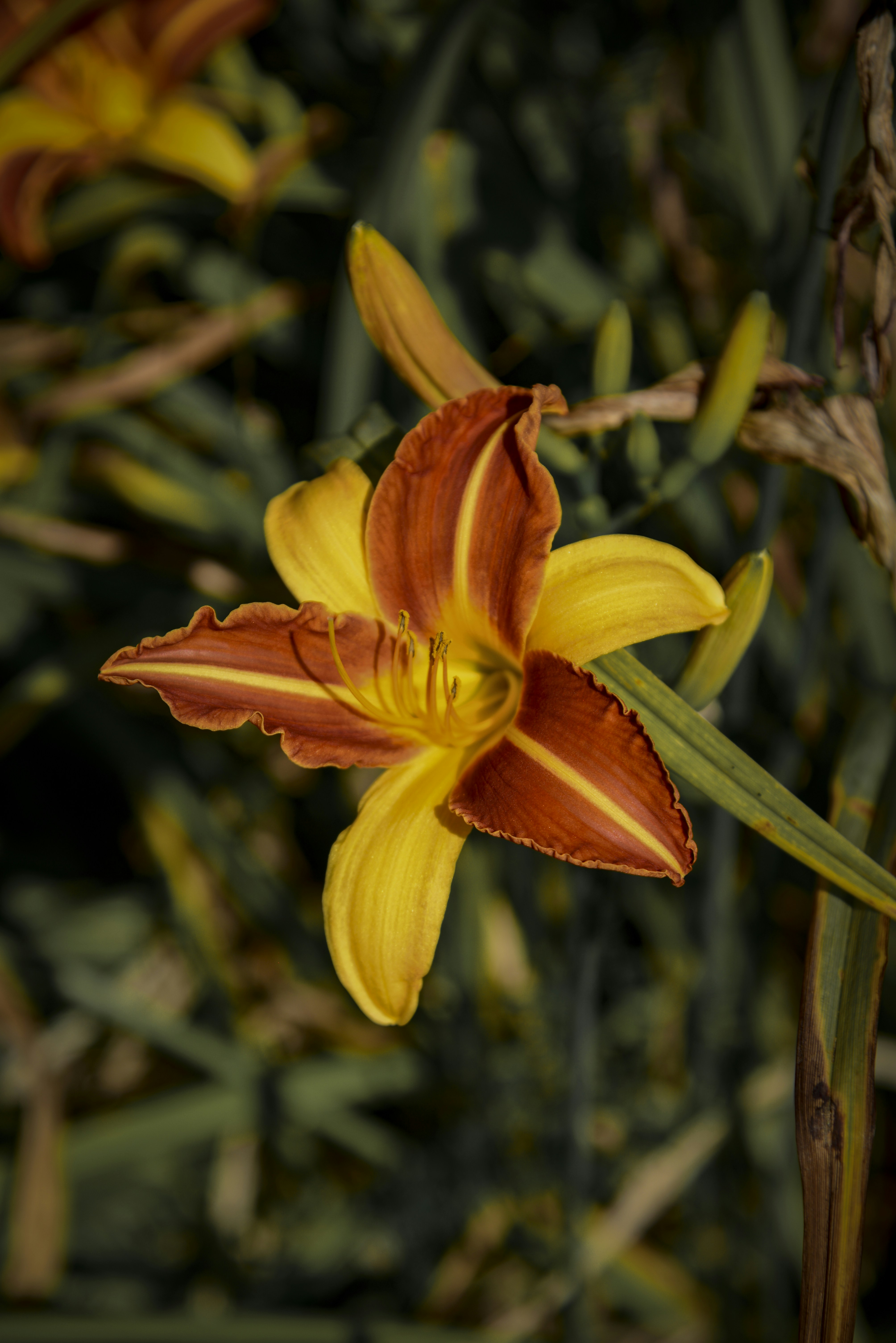 Photo by malwinanogaj