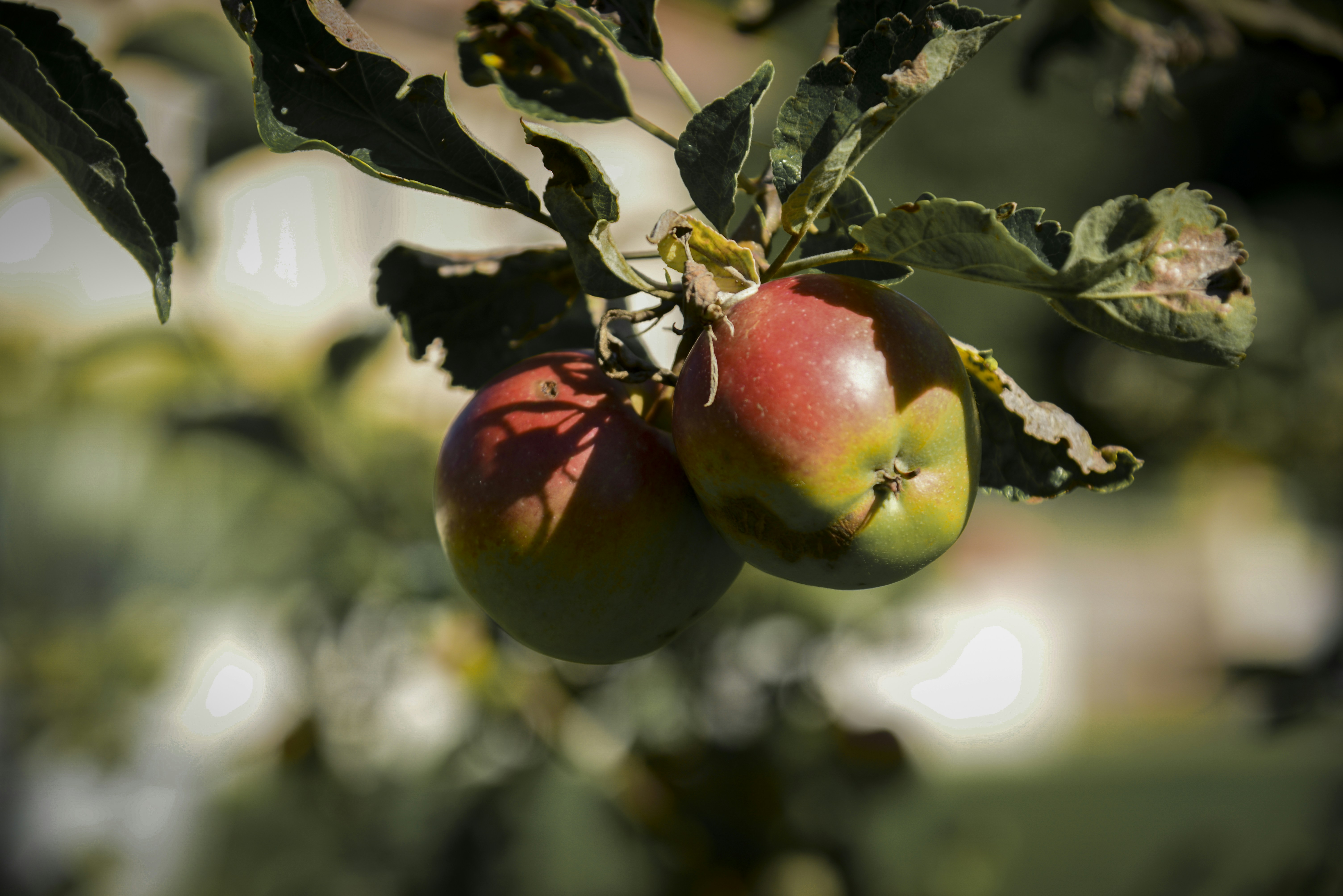 Photo by malwinanogaj