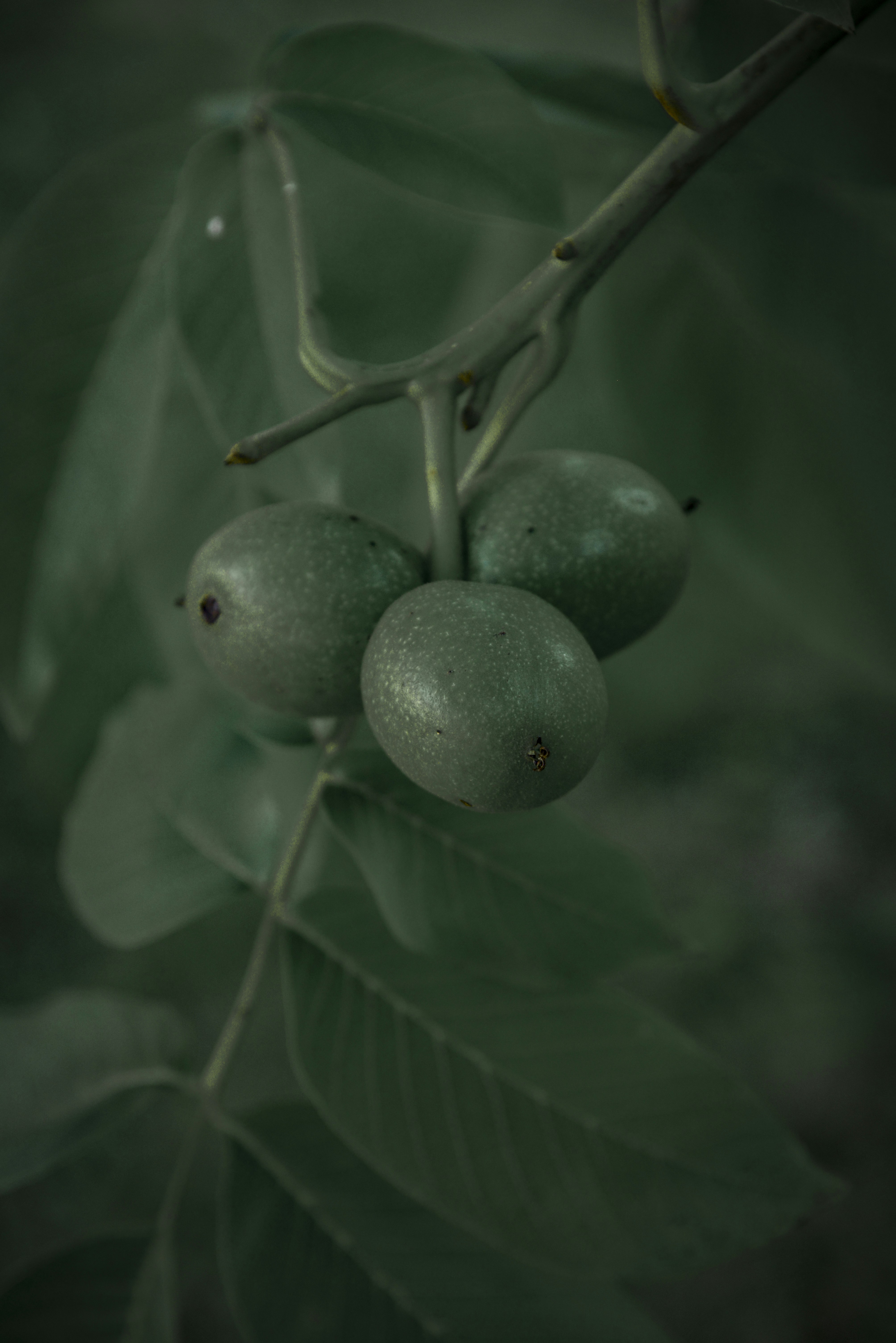 Photo by malwinanogaj