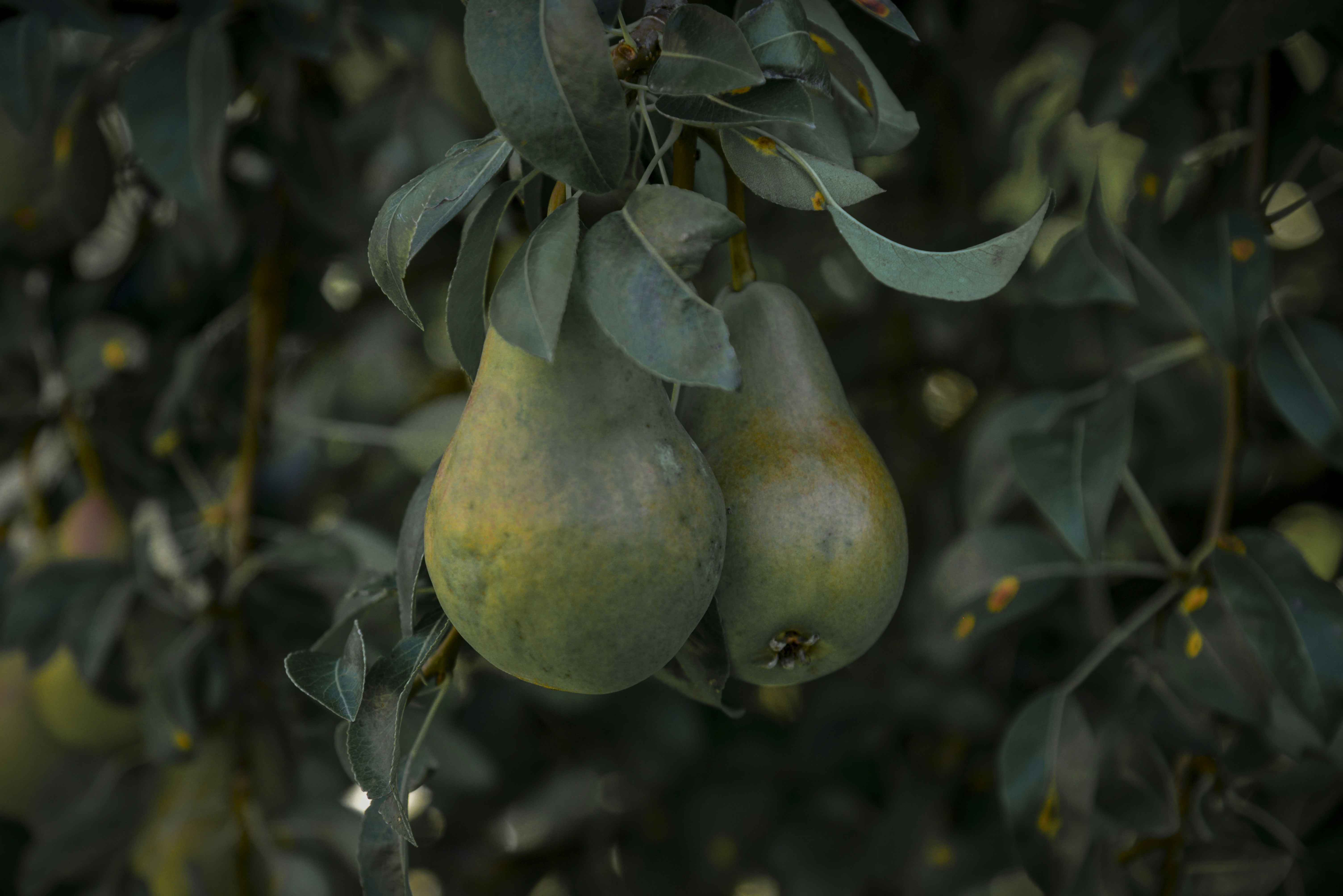 Photo by malwinanogaj