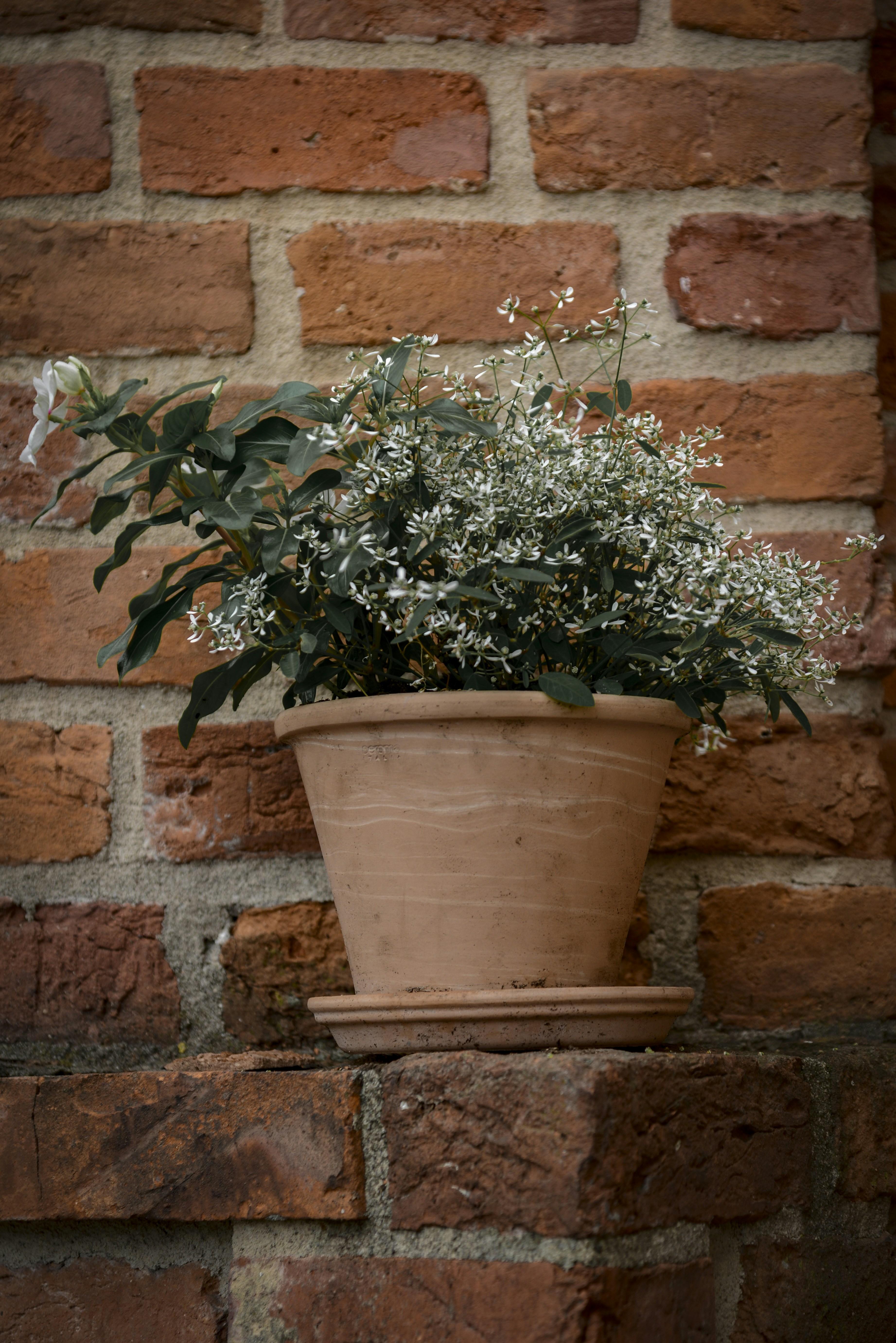 Photo by malwinanogaj