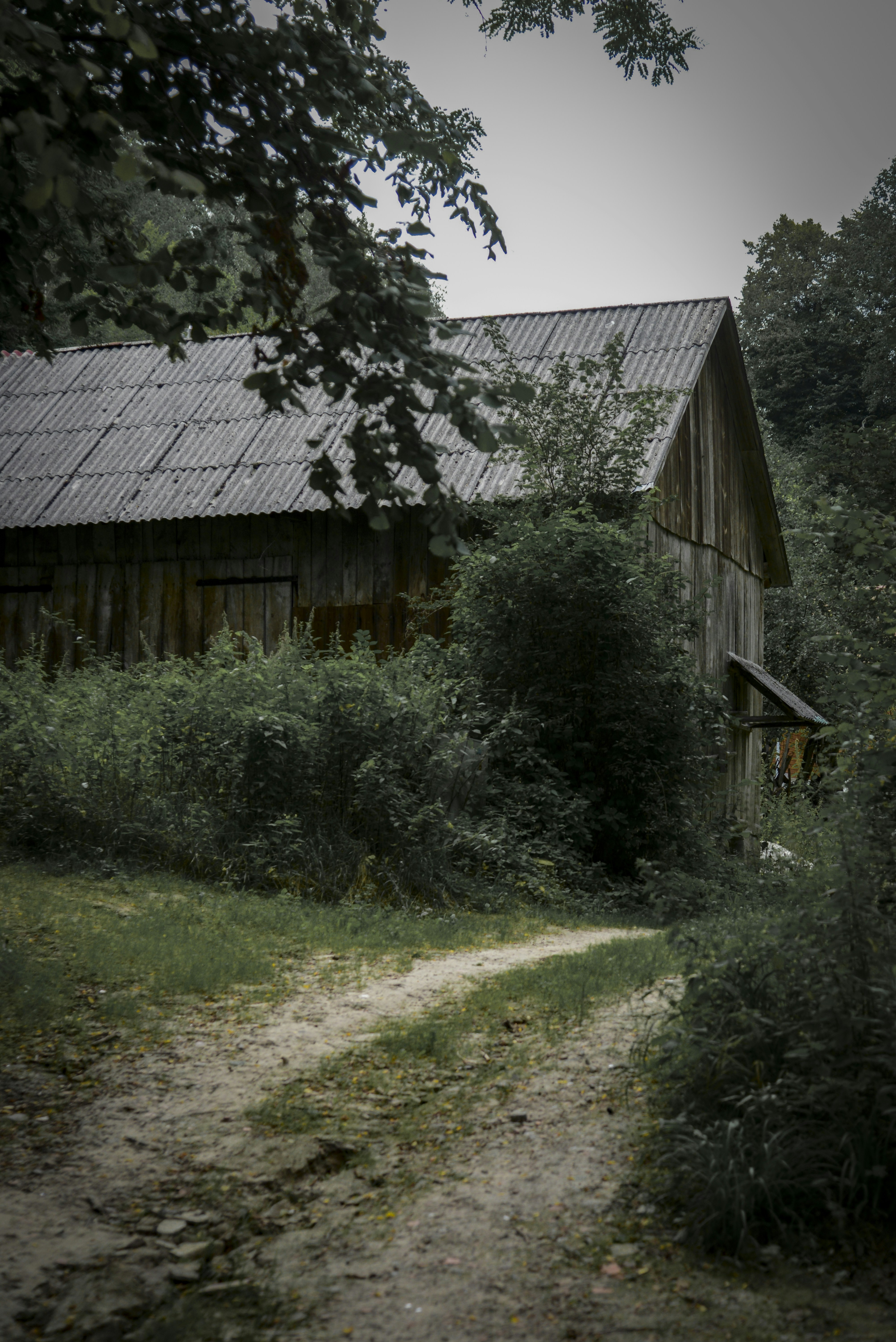 Photo by malwinanogaj