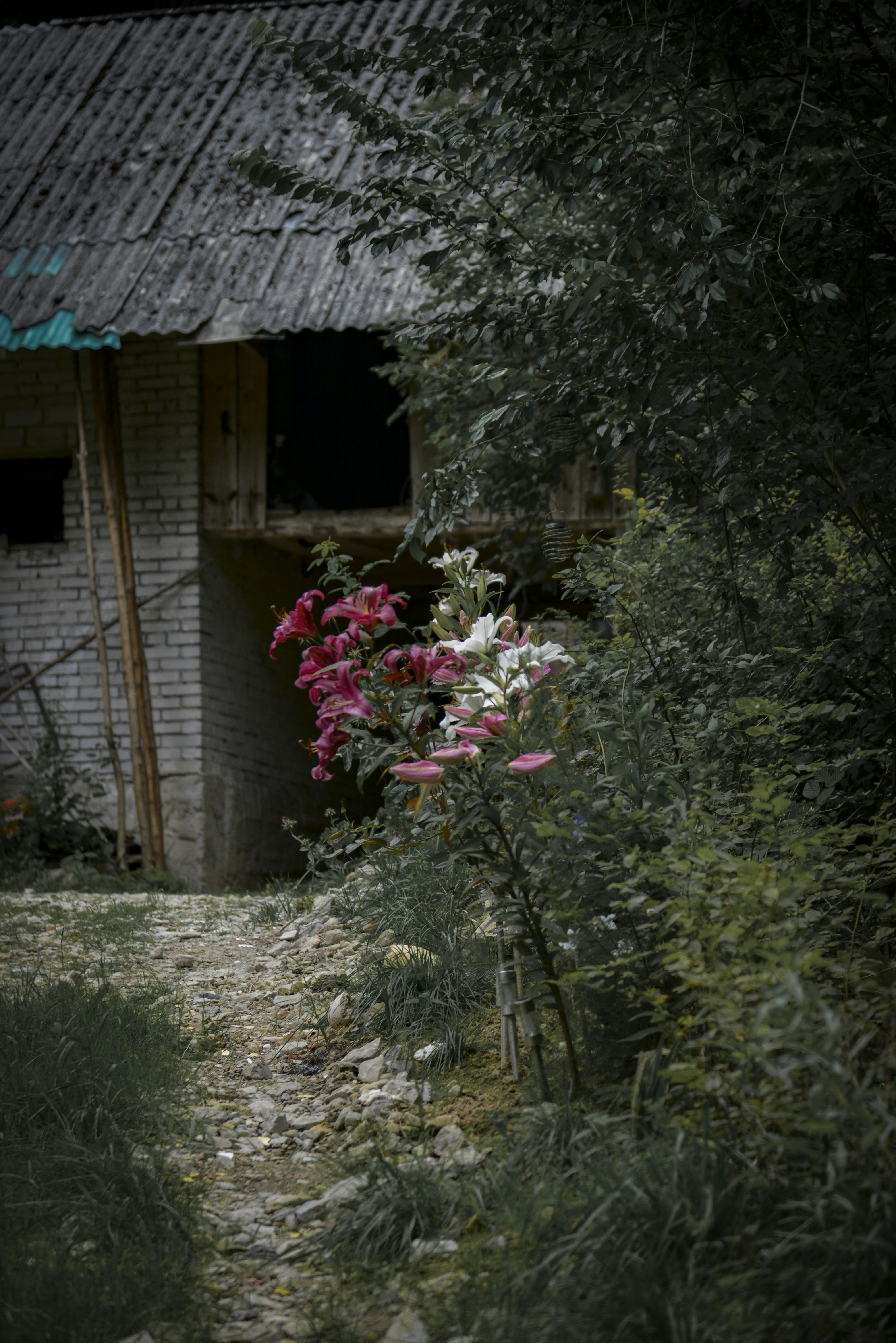 Photo by malwinanogaj