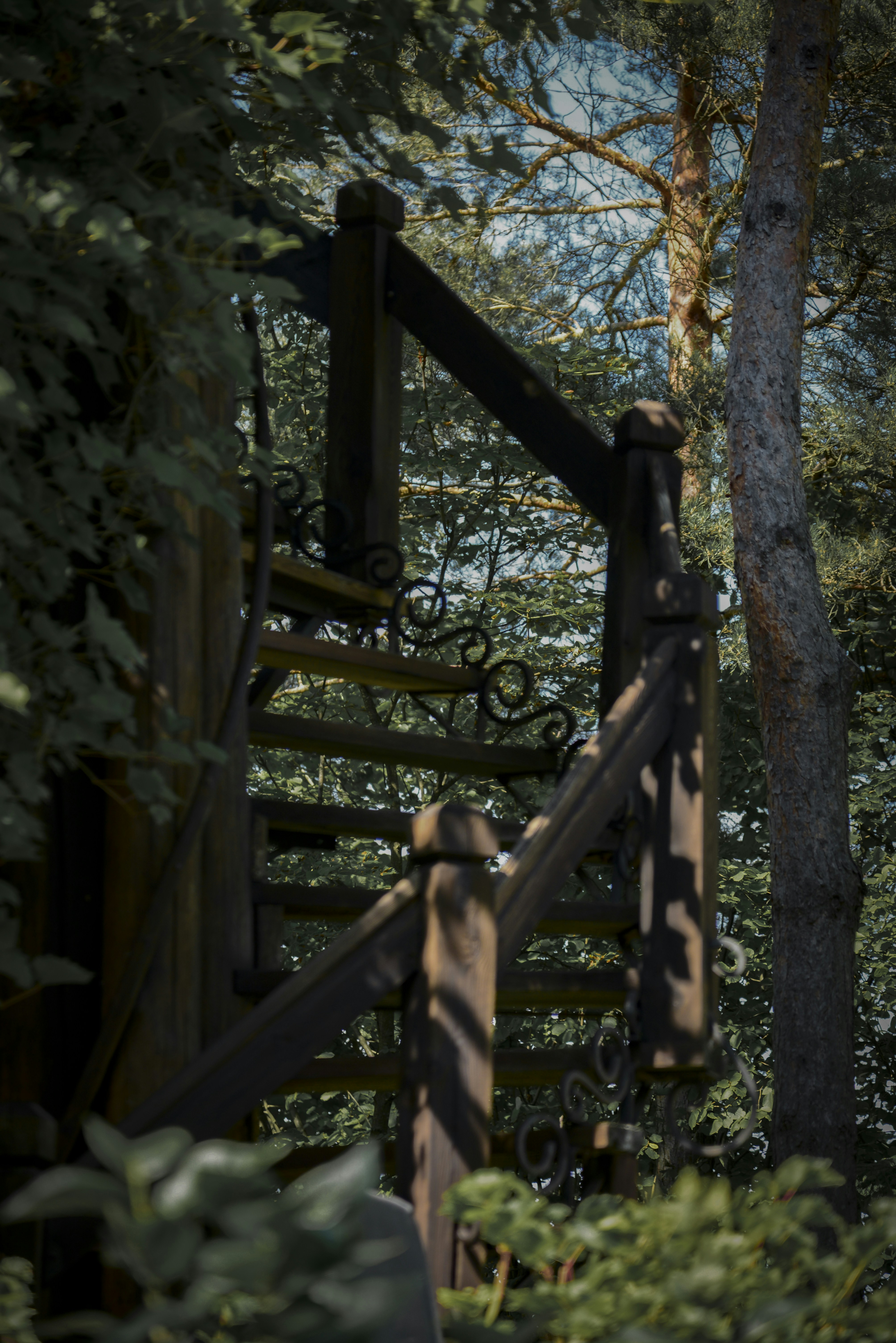 Photo by malwinanogaj