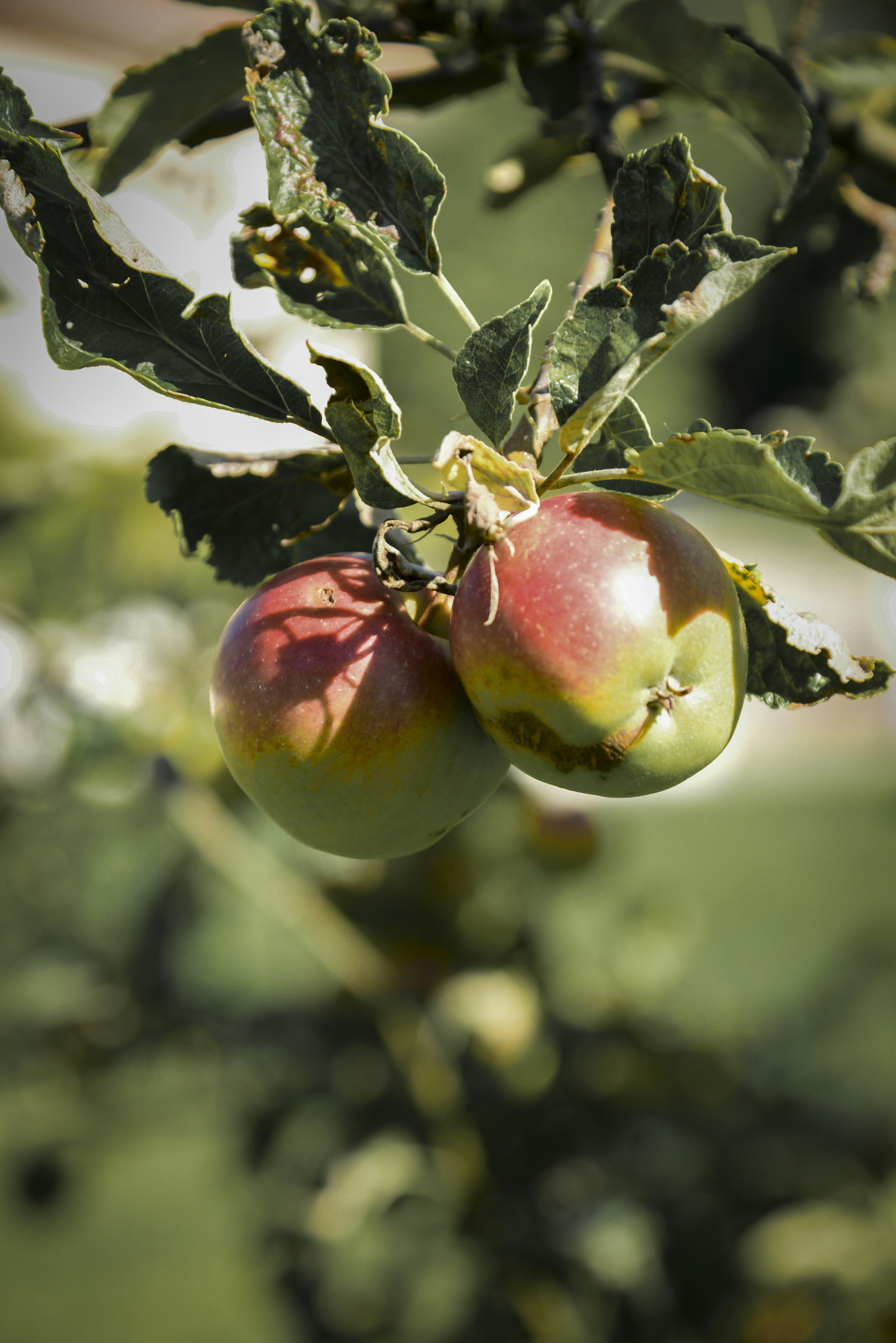 Photo by malwinanogaj