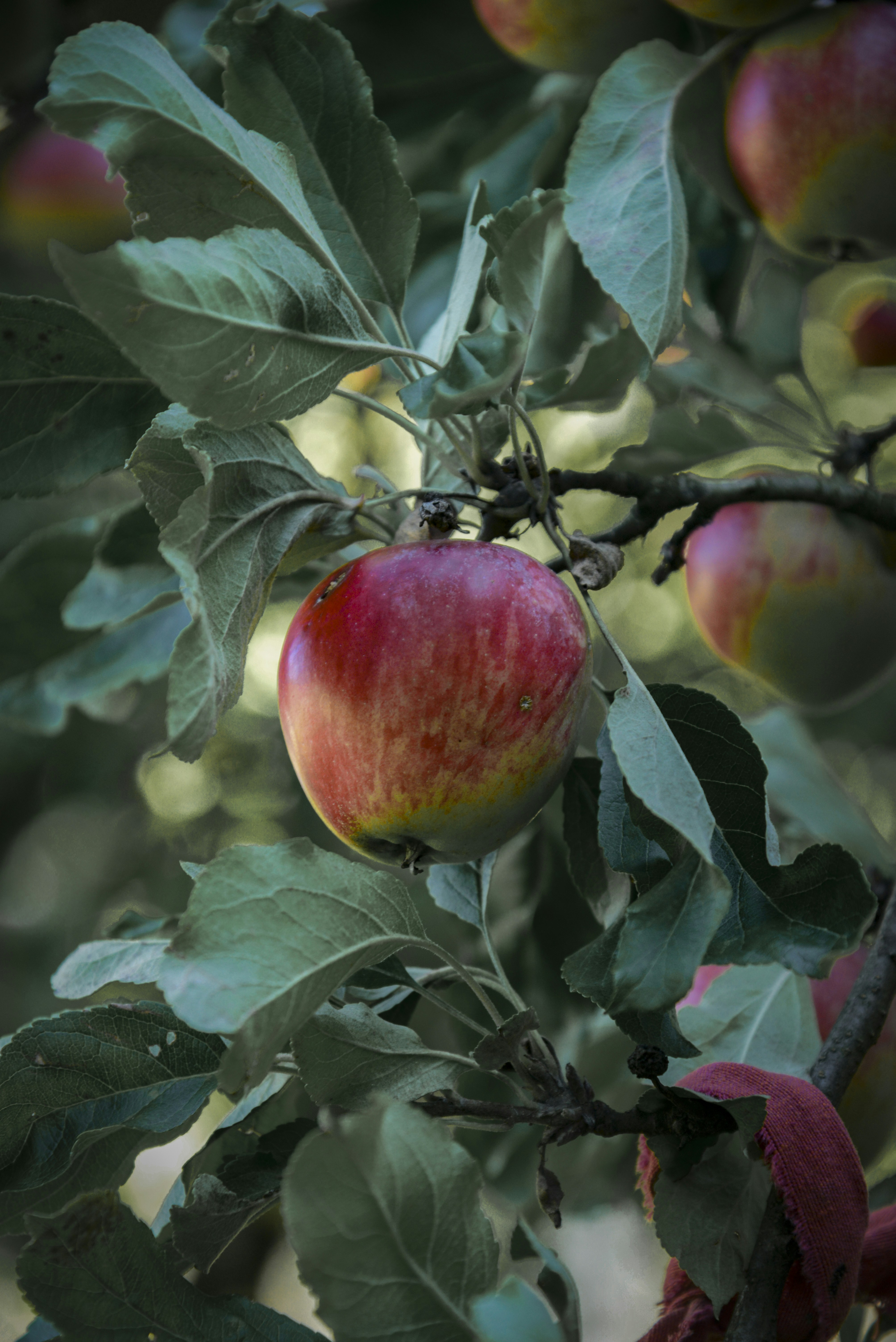 Photo by malwinanogaj