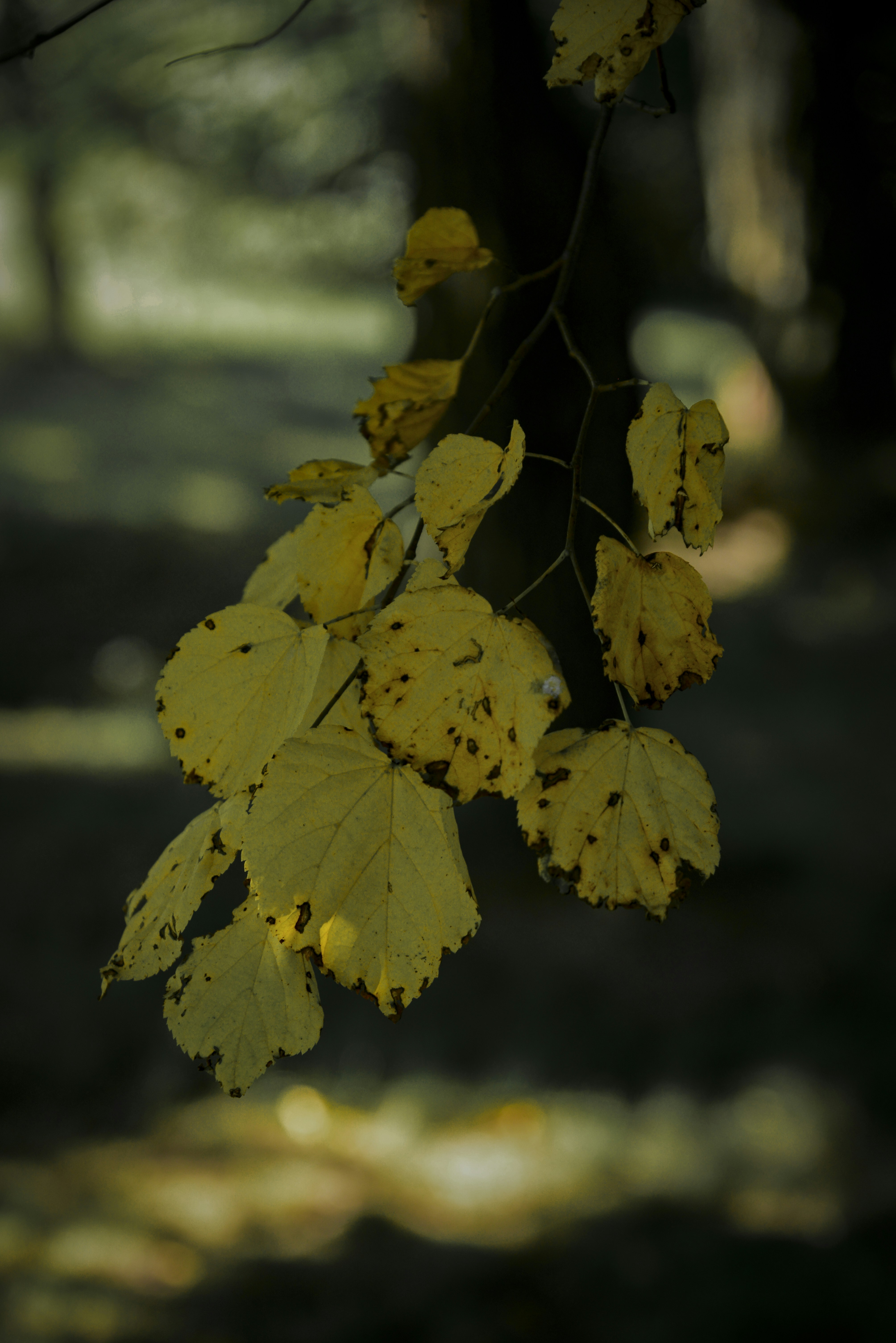 Photo by malwinanogaj