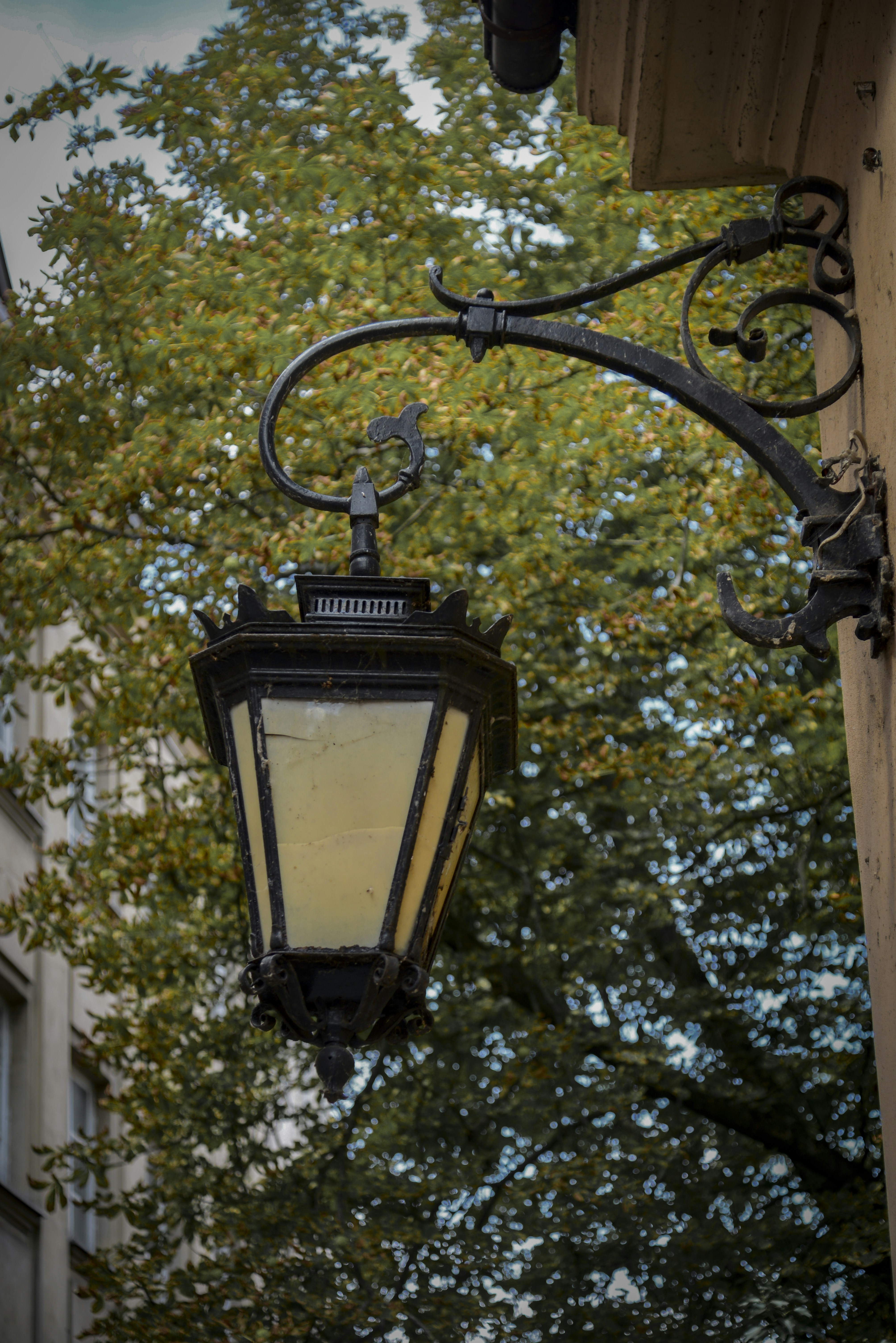 Photo by malwinanogaj