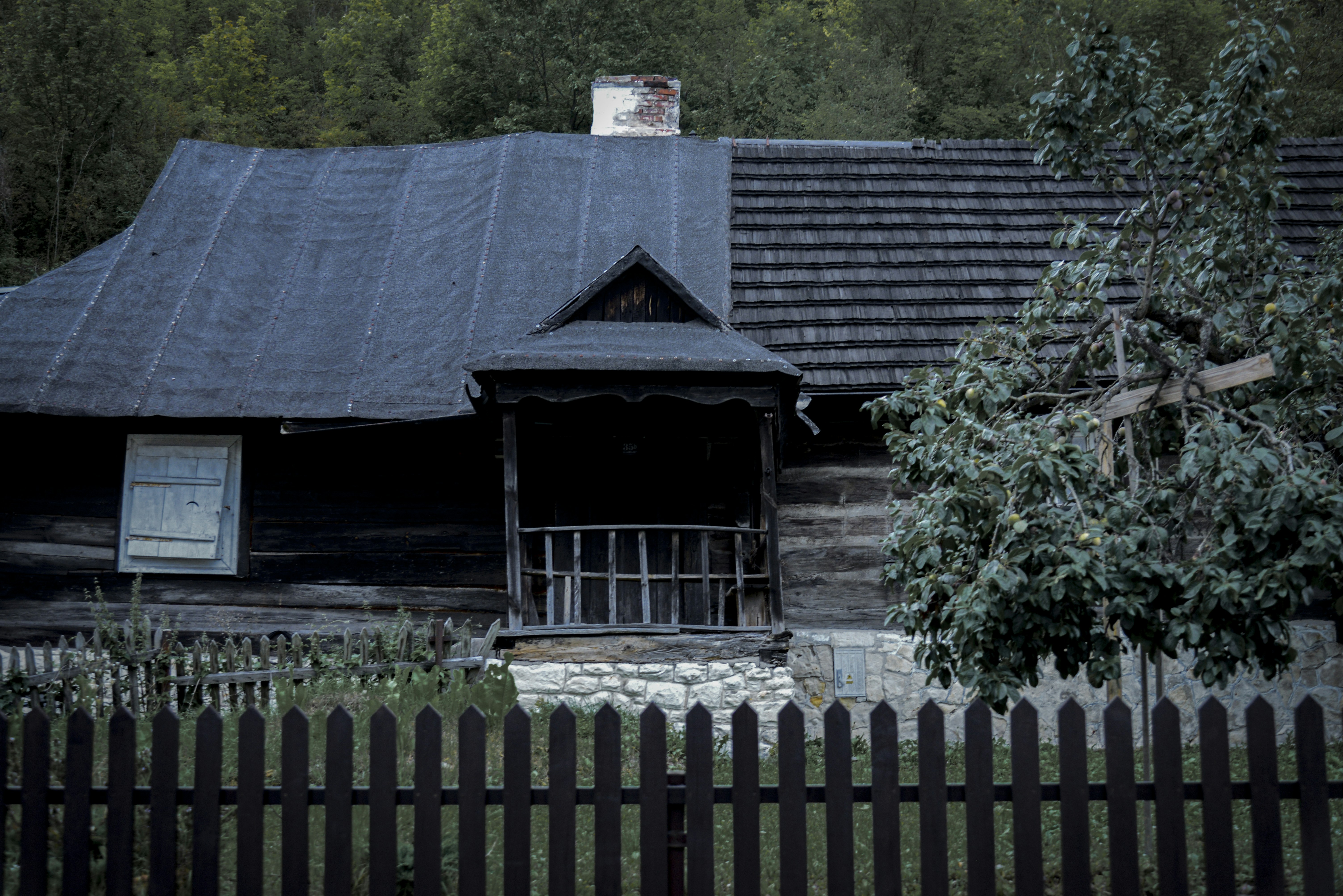 Photo by malwinanogaj