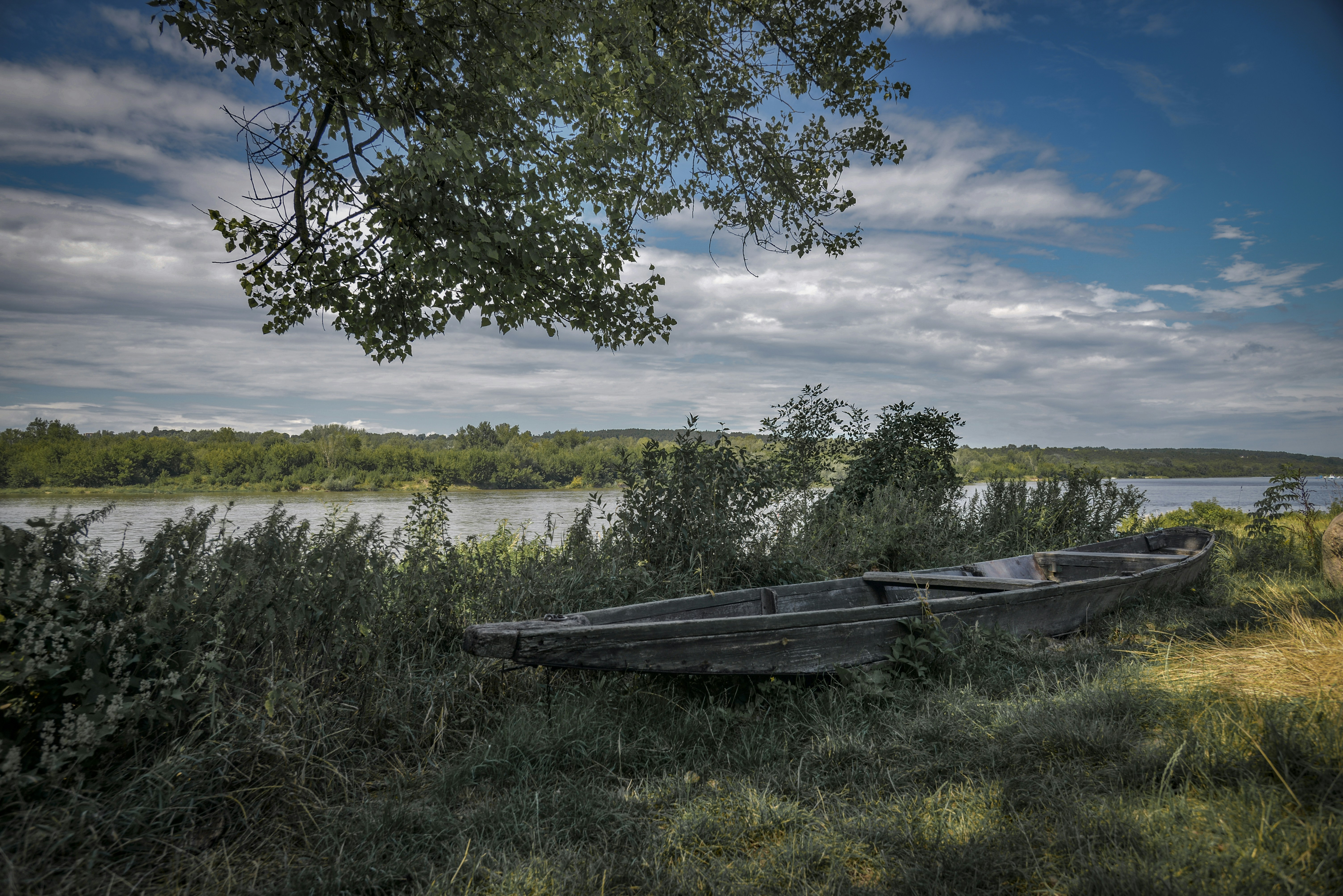 Photo by malwinanogaj