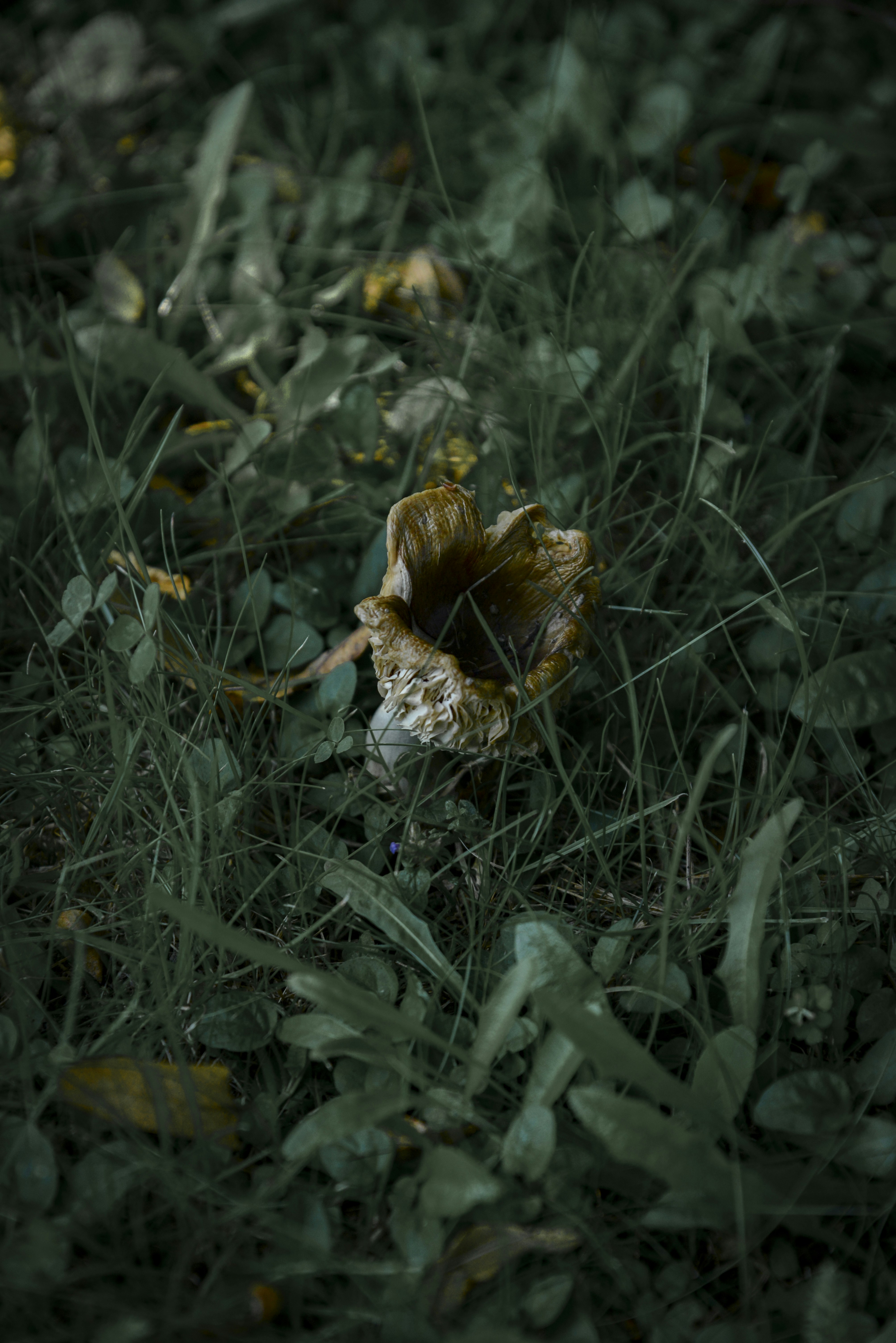 Photo by malwinanogaj