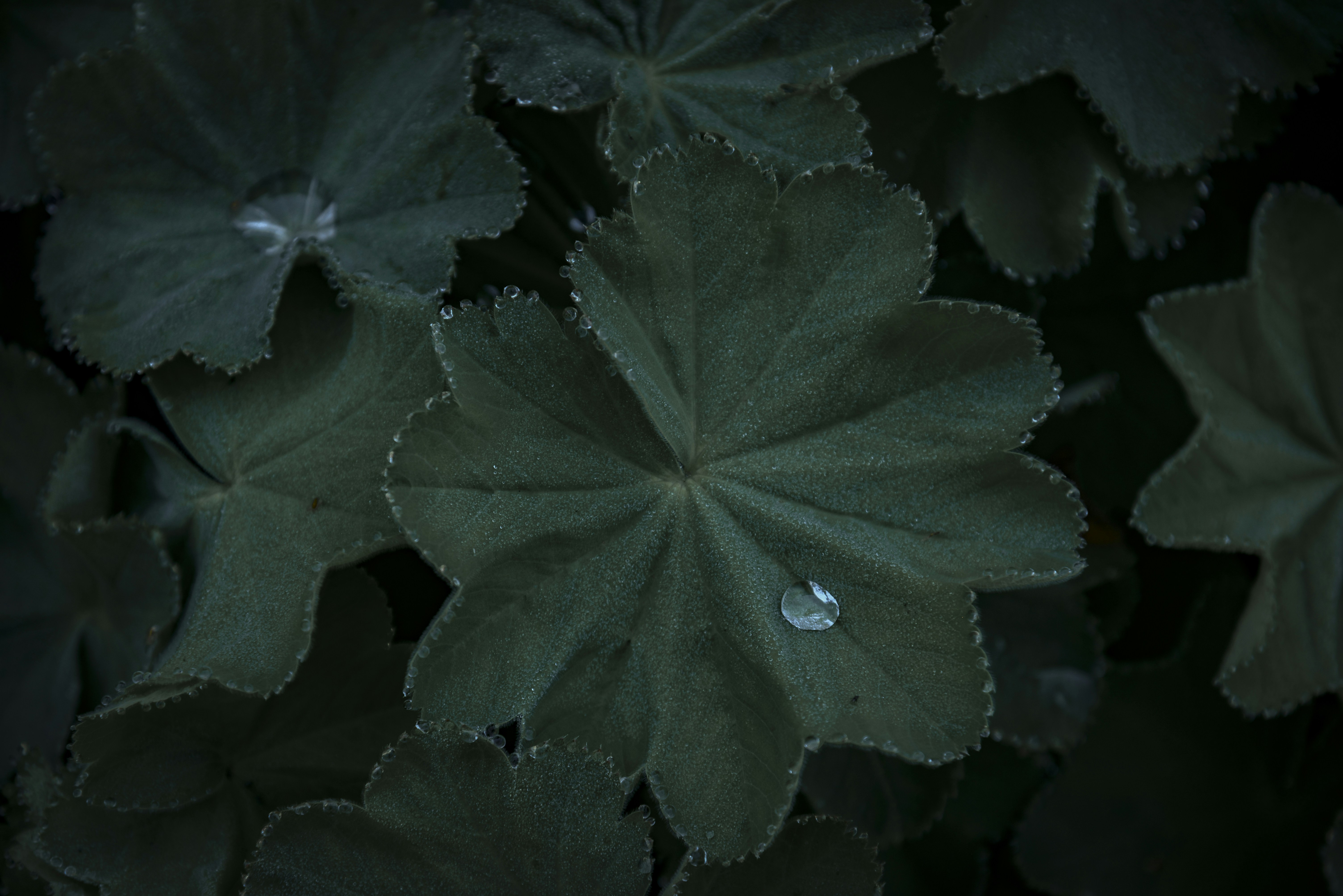 Photo by malwinanogaj