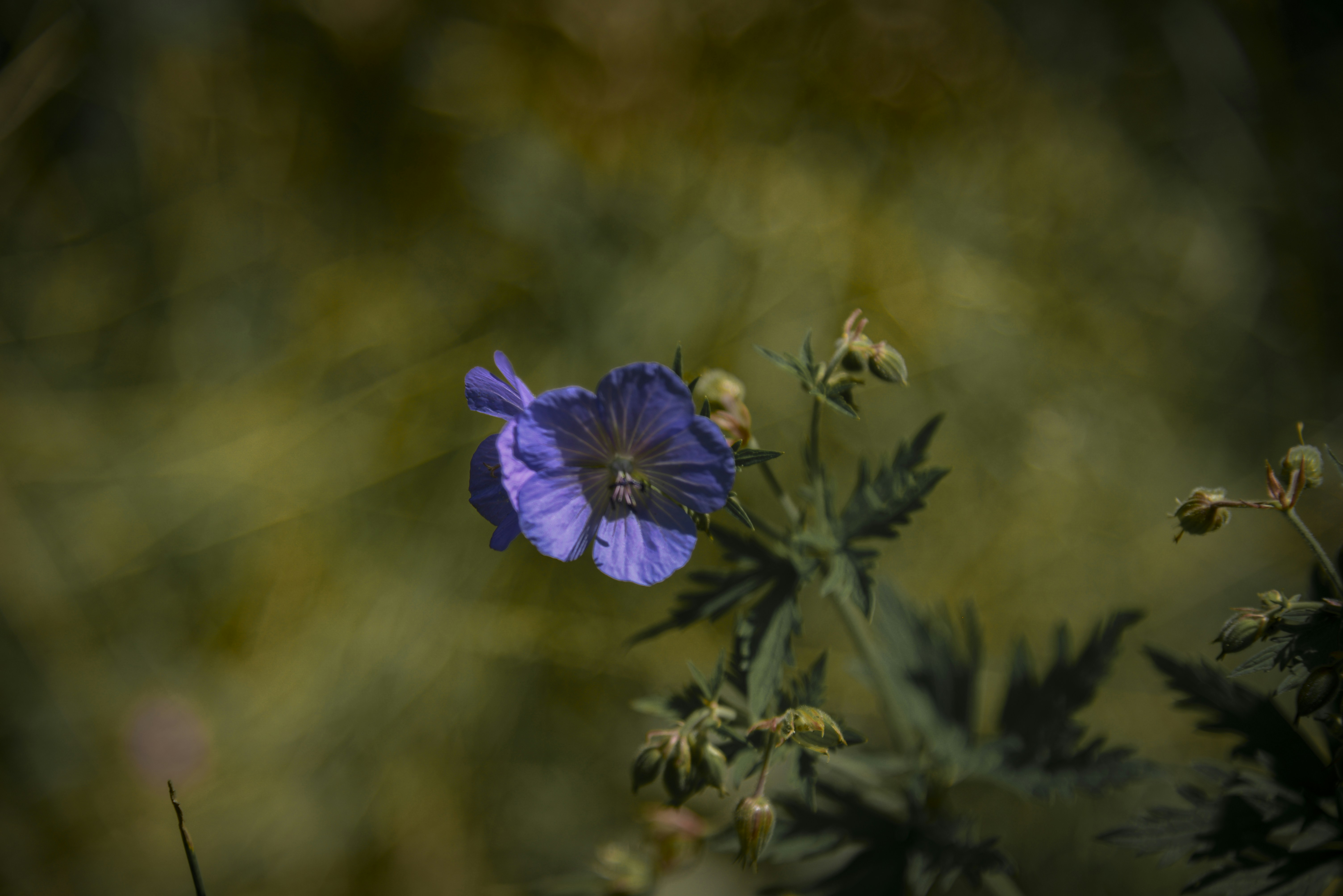 Photo by malwinanogaj