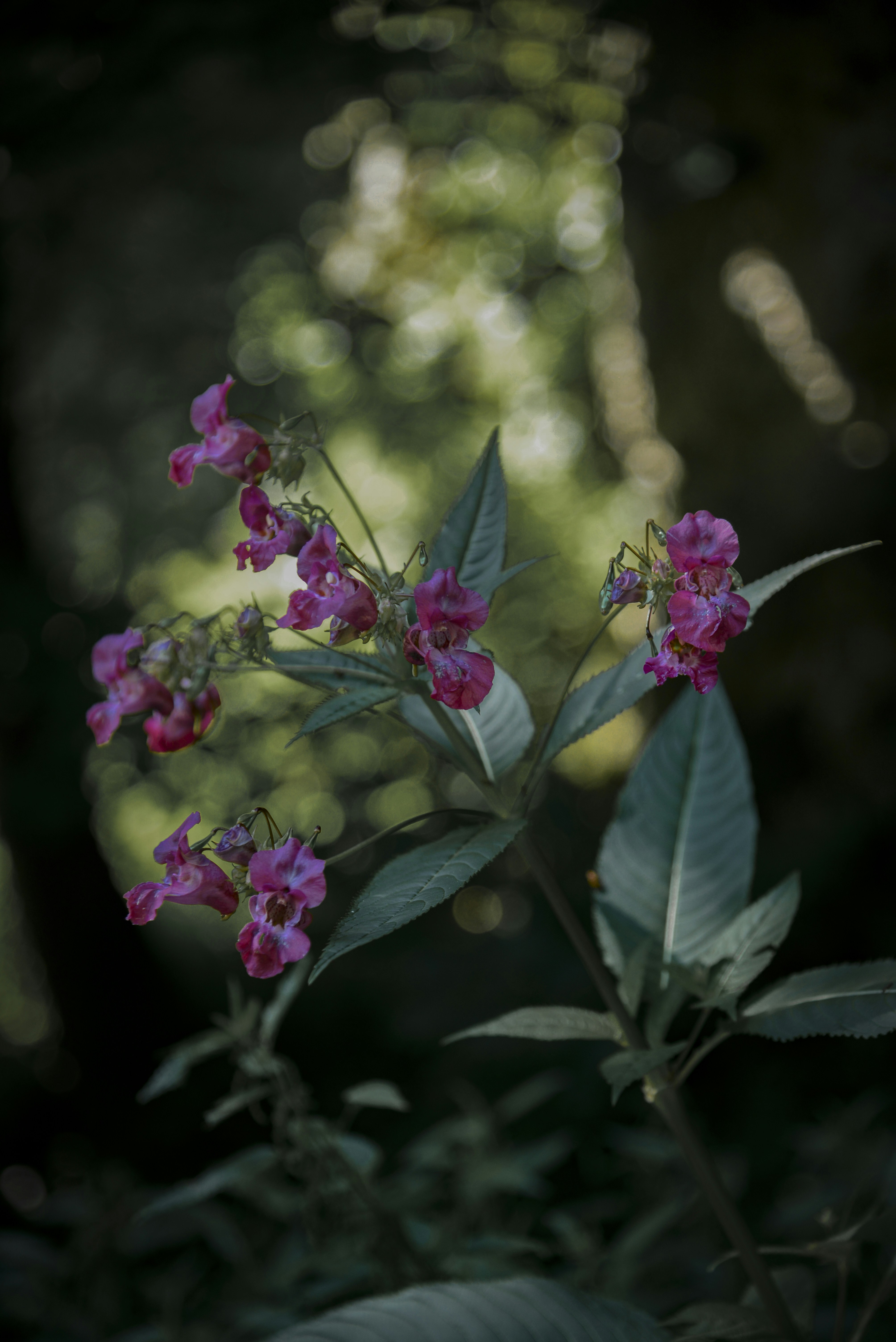 Photo by malwinanogaj