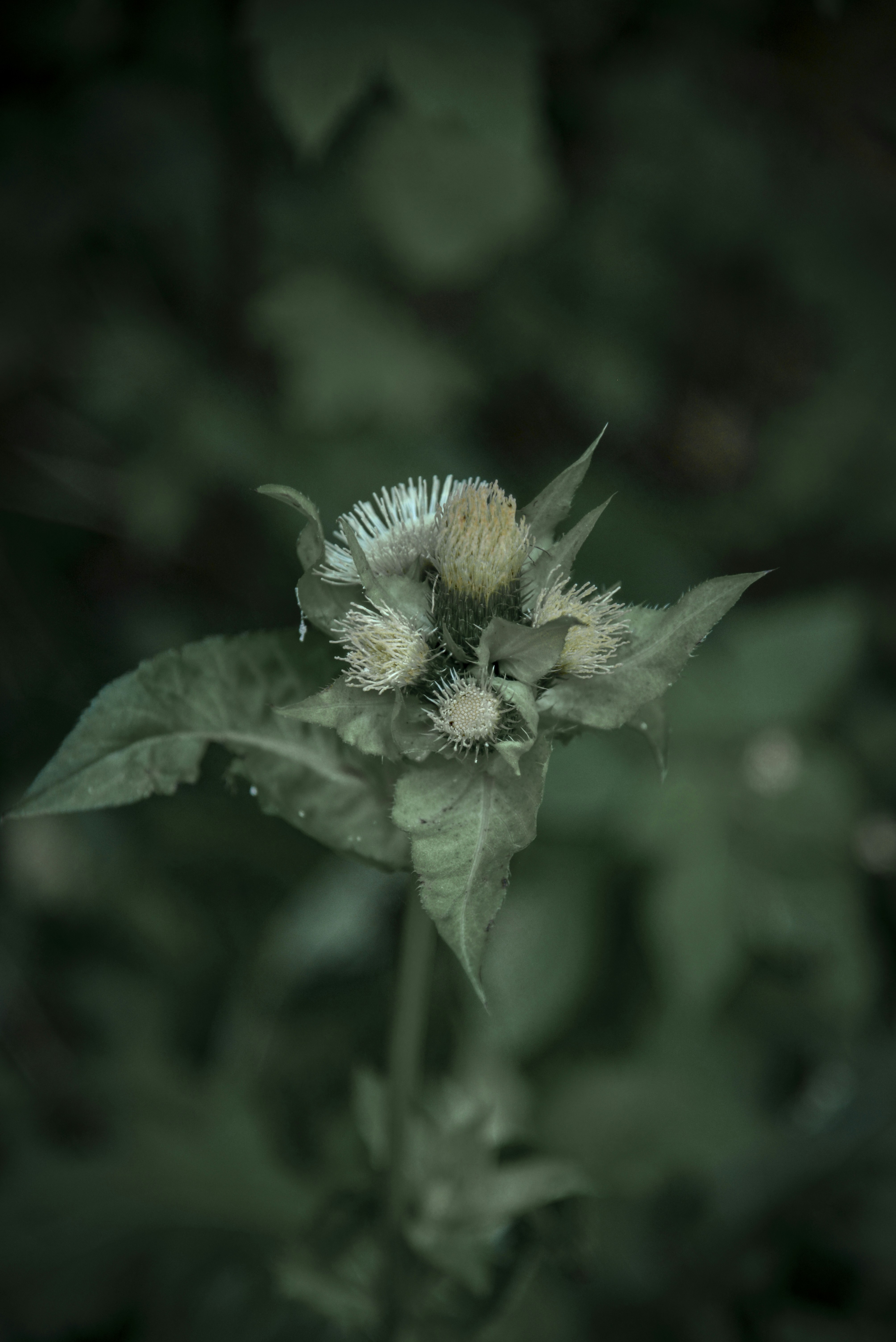 Photo by malwinanogaj