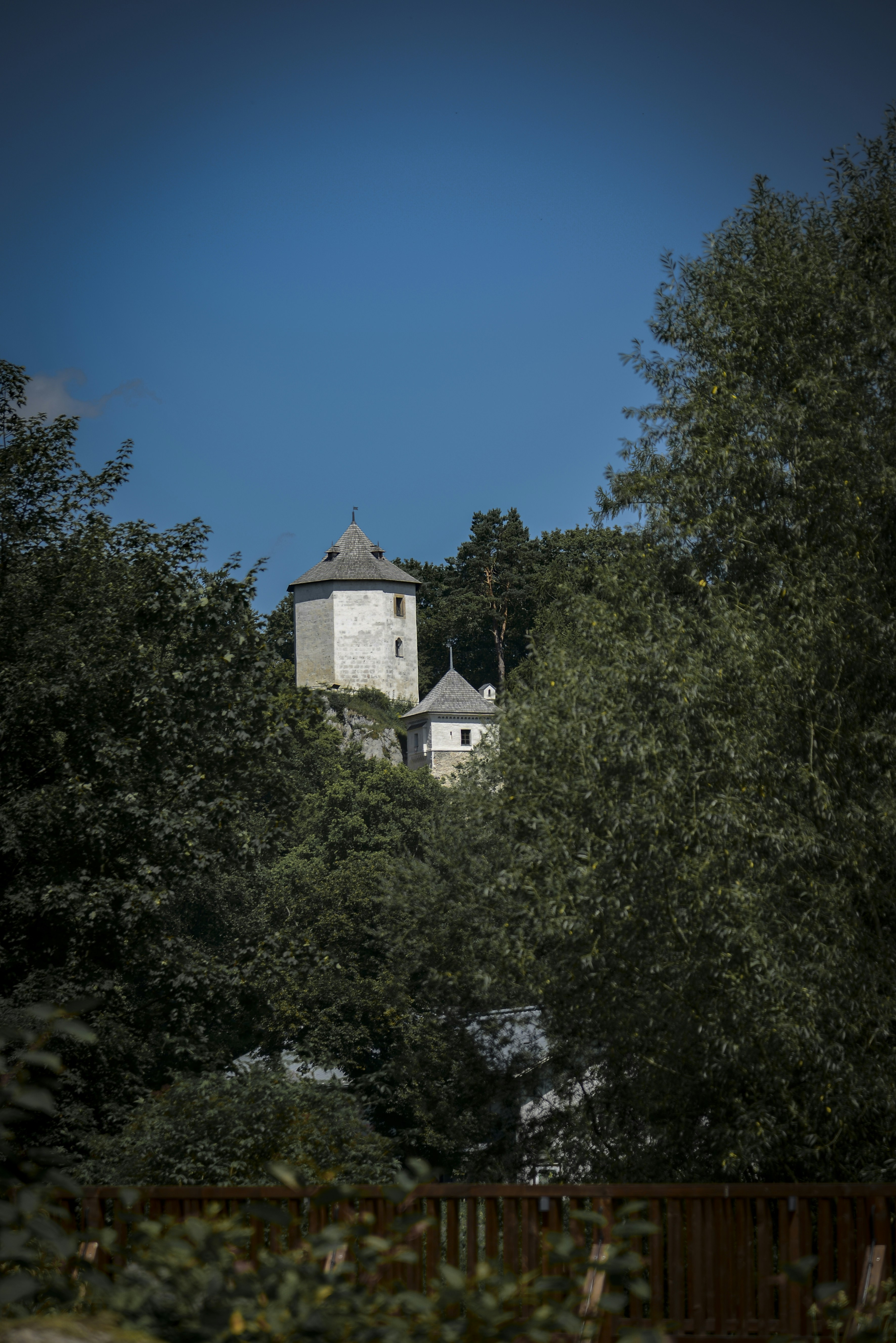 Photo by malwinanogaj