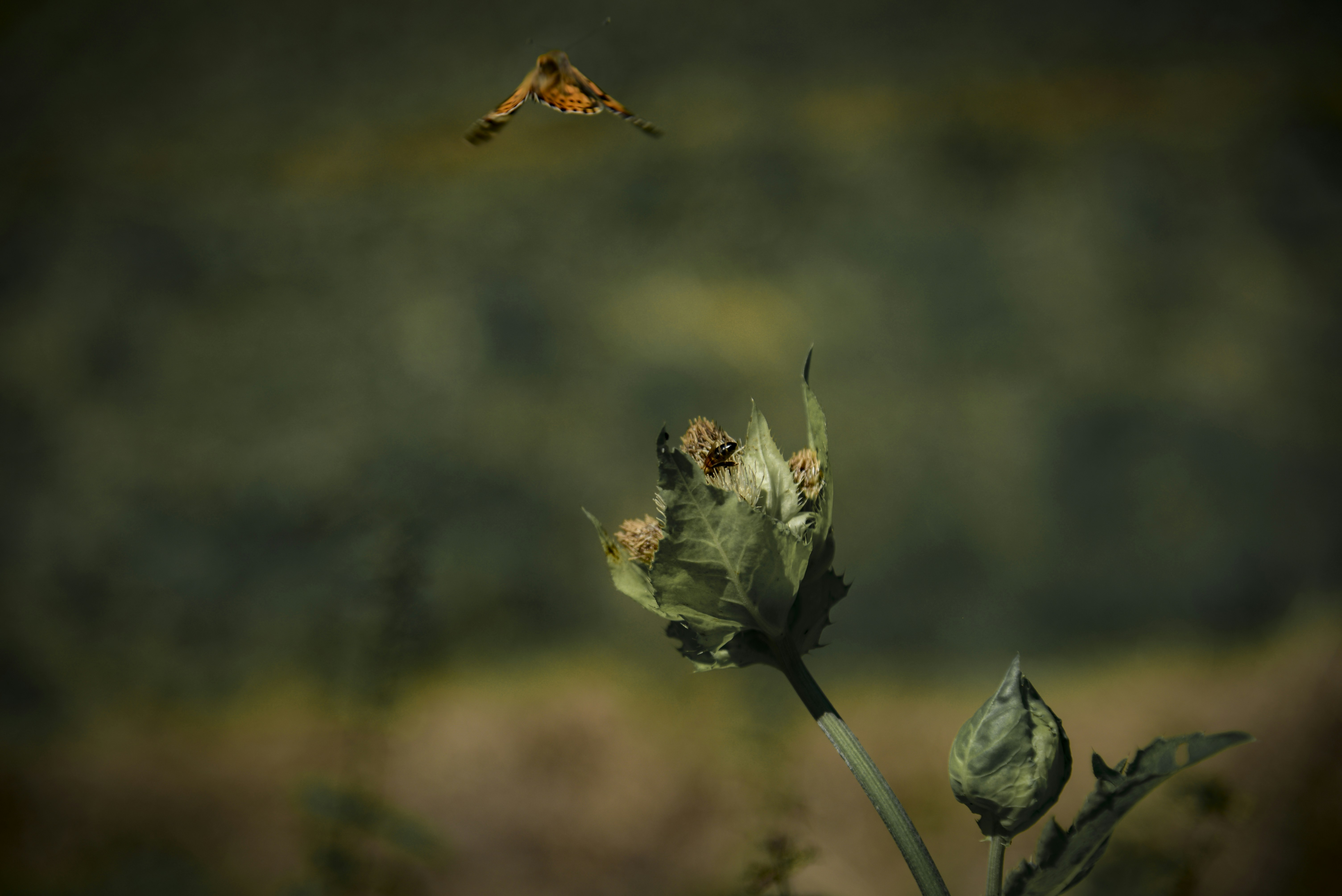 Photo by malwinanogaj