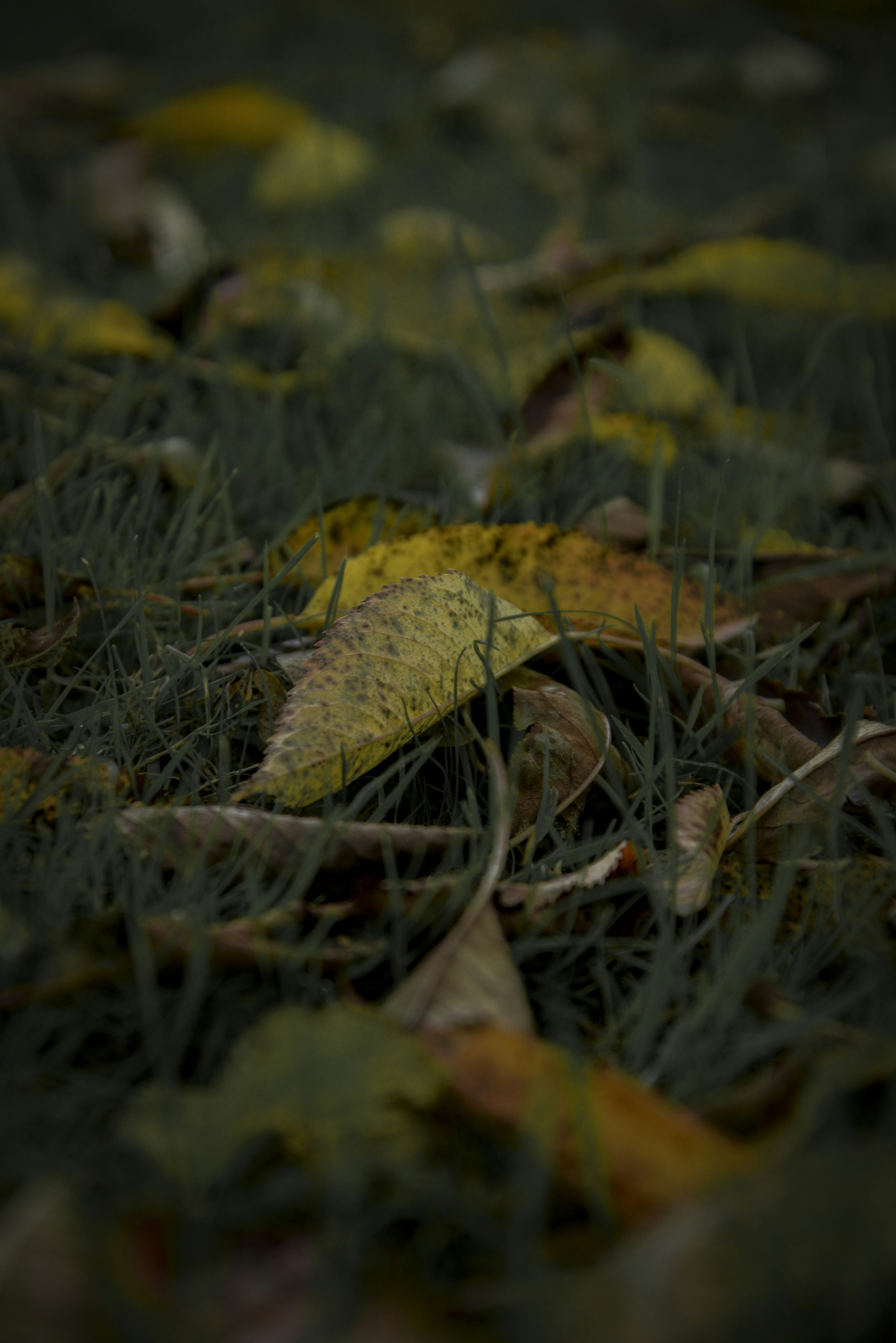 Photo by malwinanogaj