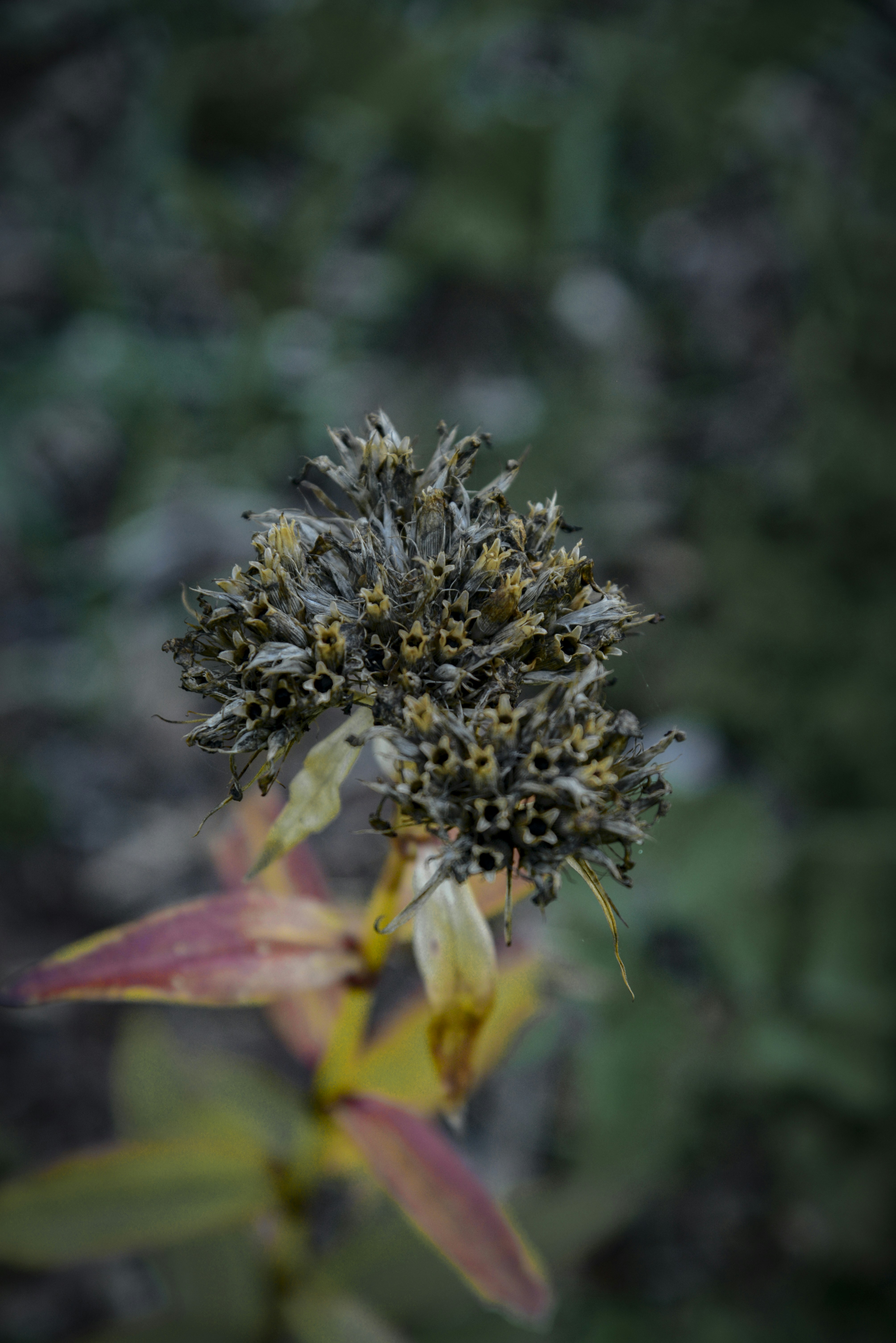 Photo by malwinanogaj