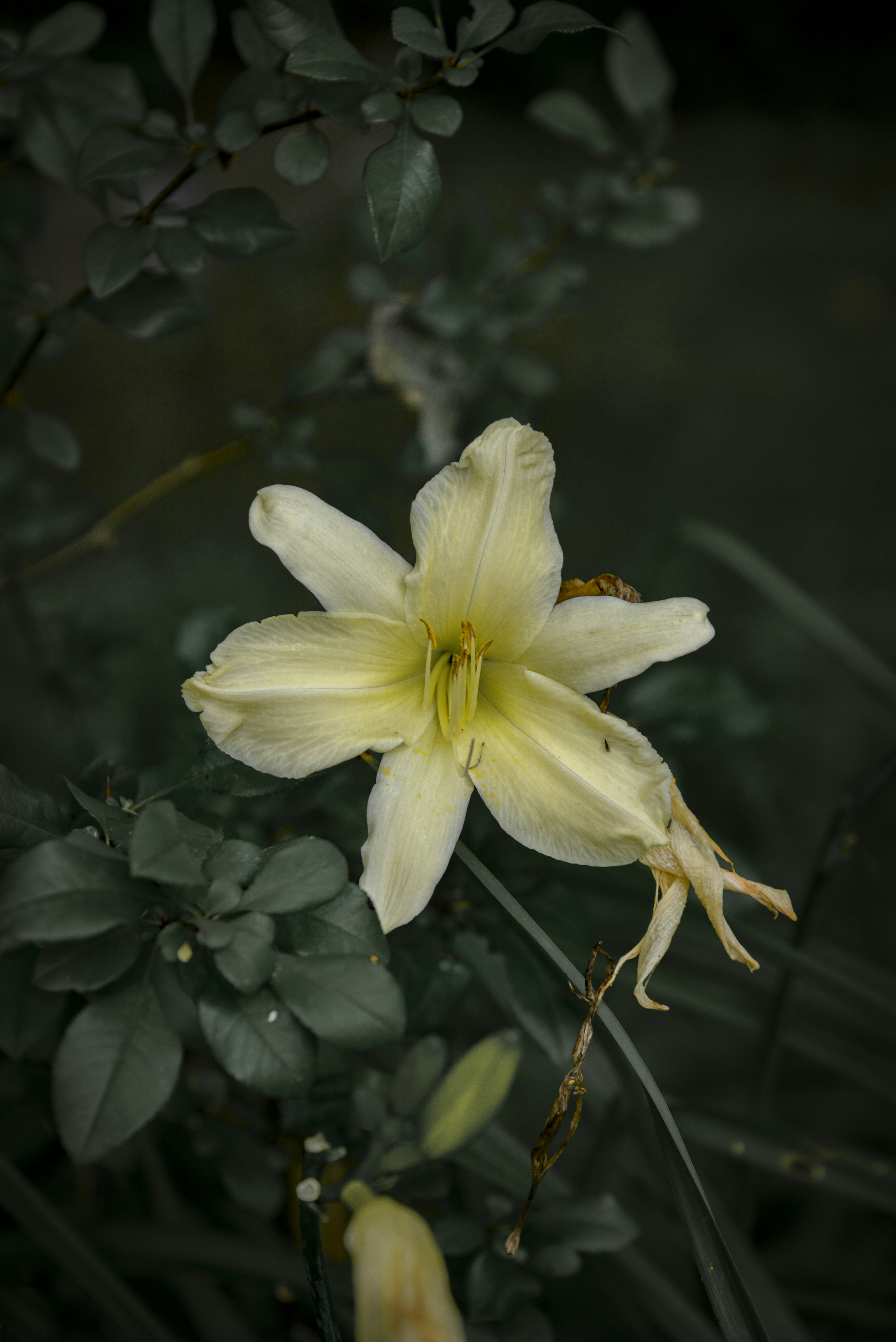 Photo by malwinanogaj