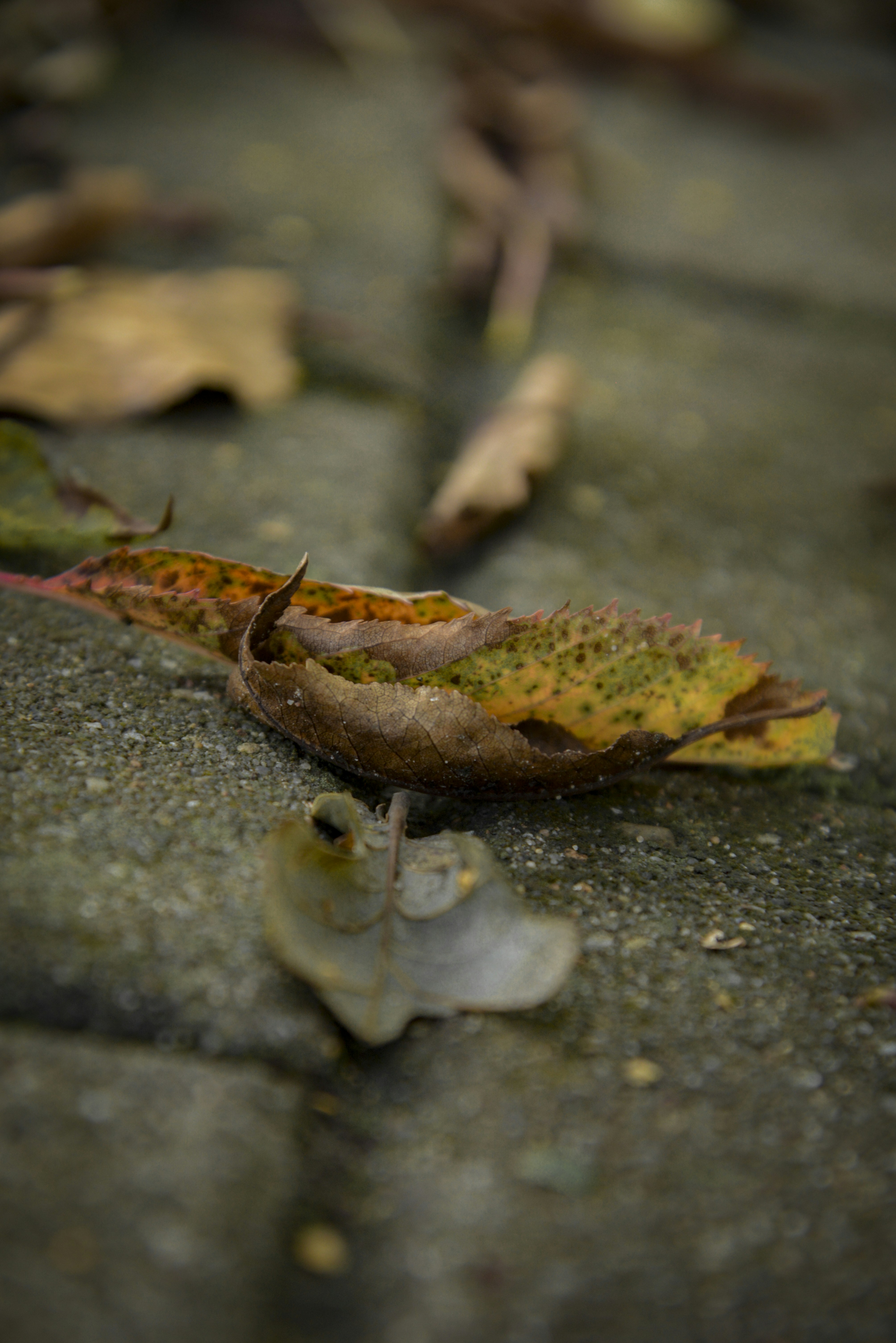 Photo by malwinanogaj