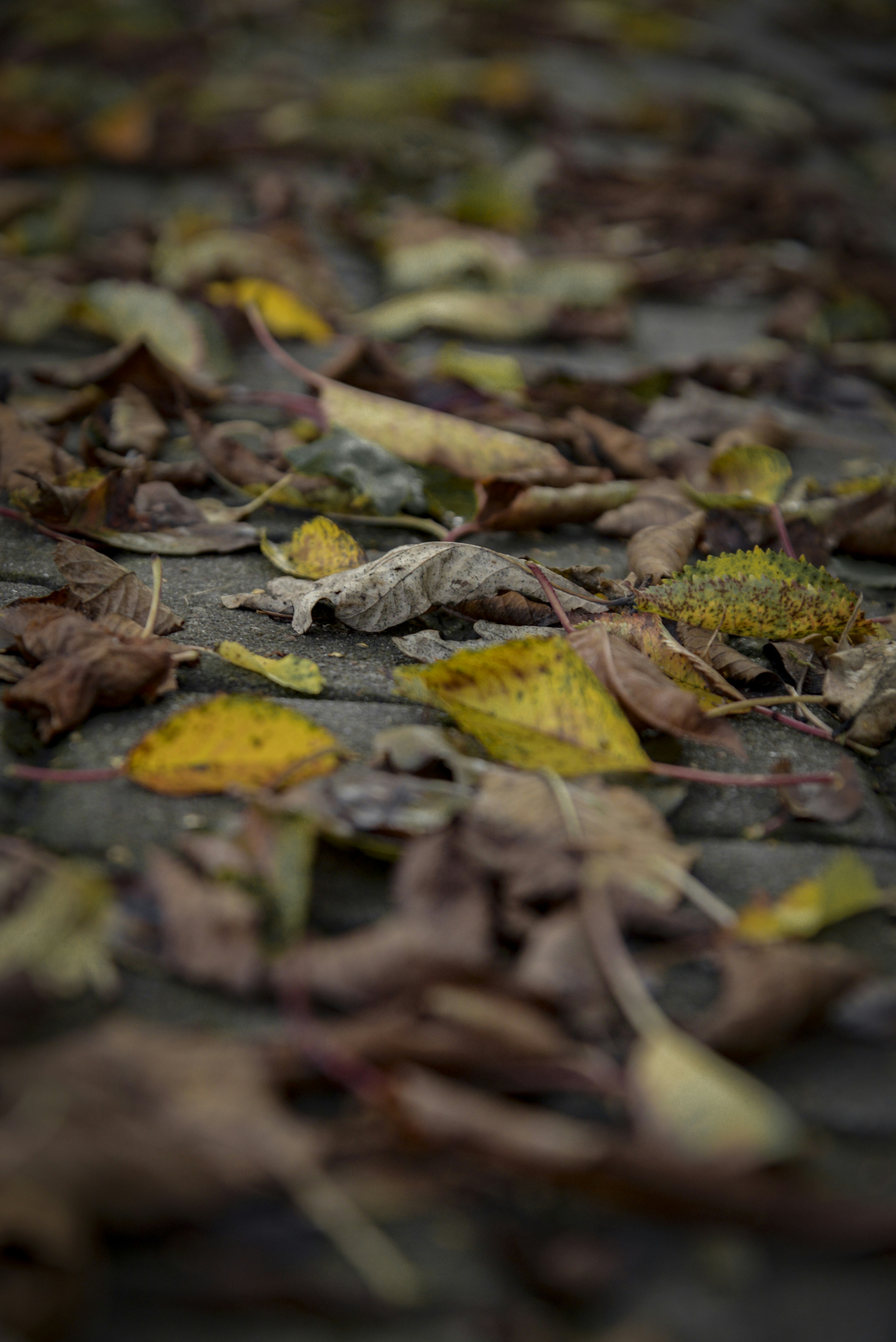 Photo by malwinanogaj